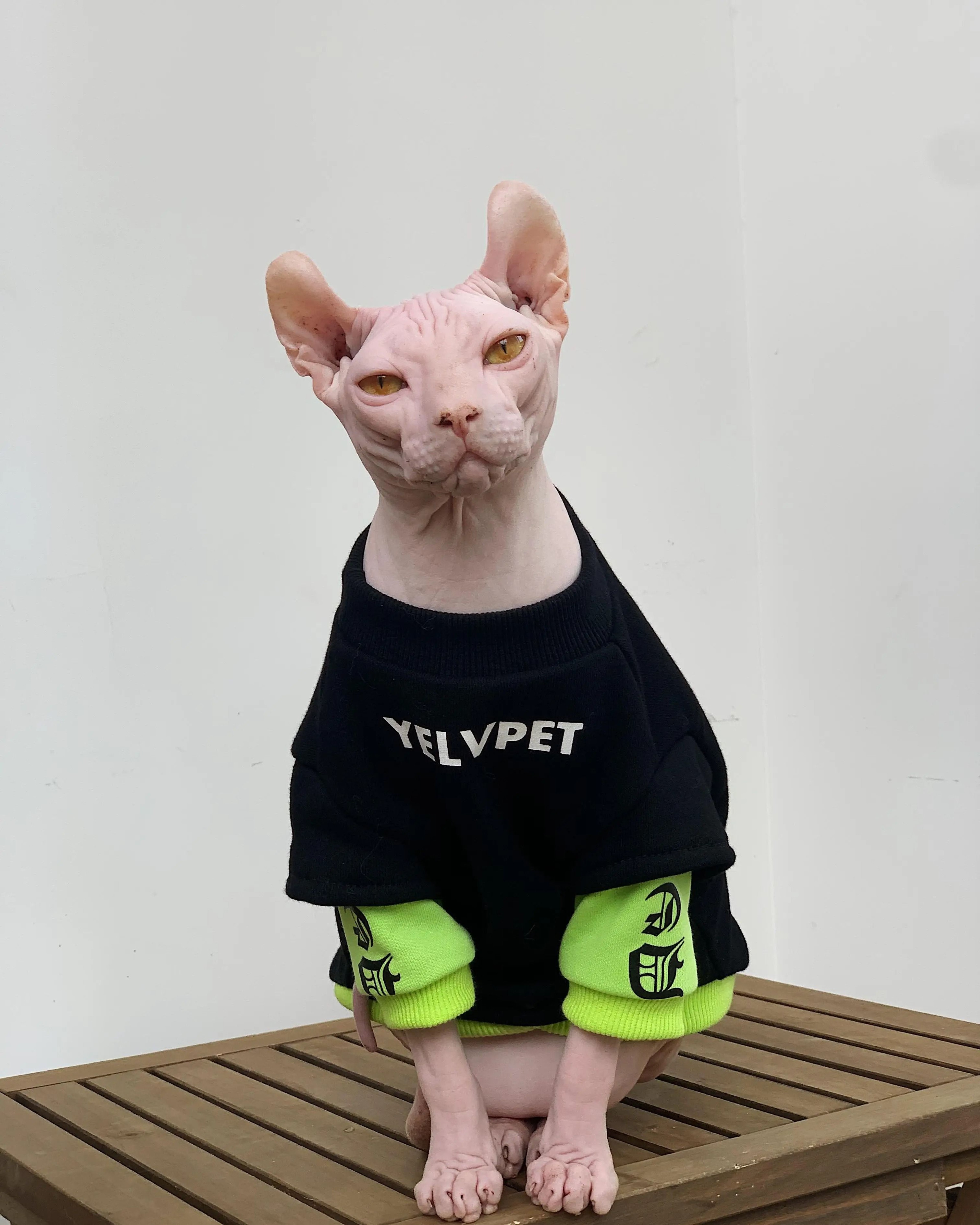 Chic Winter Cotton Sweatshirt For Hairless Cats 1