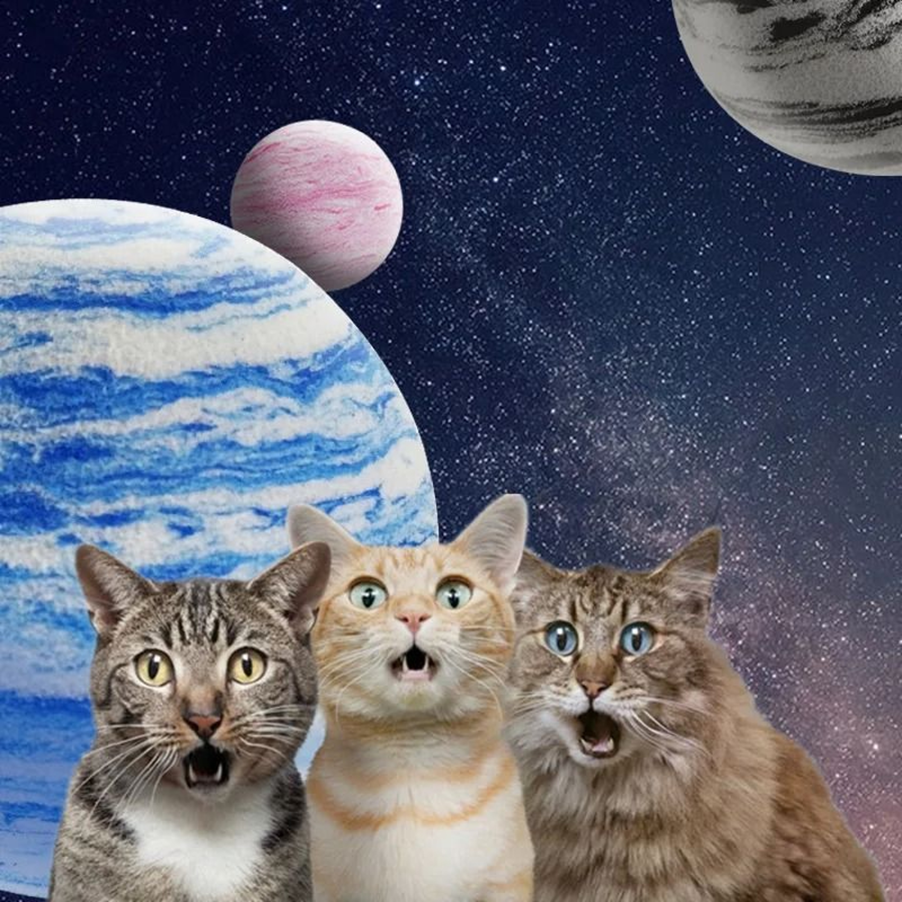 Galaxy Planet Texture Pet Cat Toy Ball 1