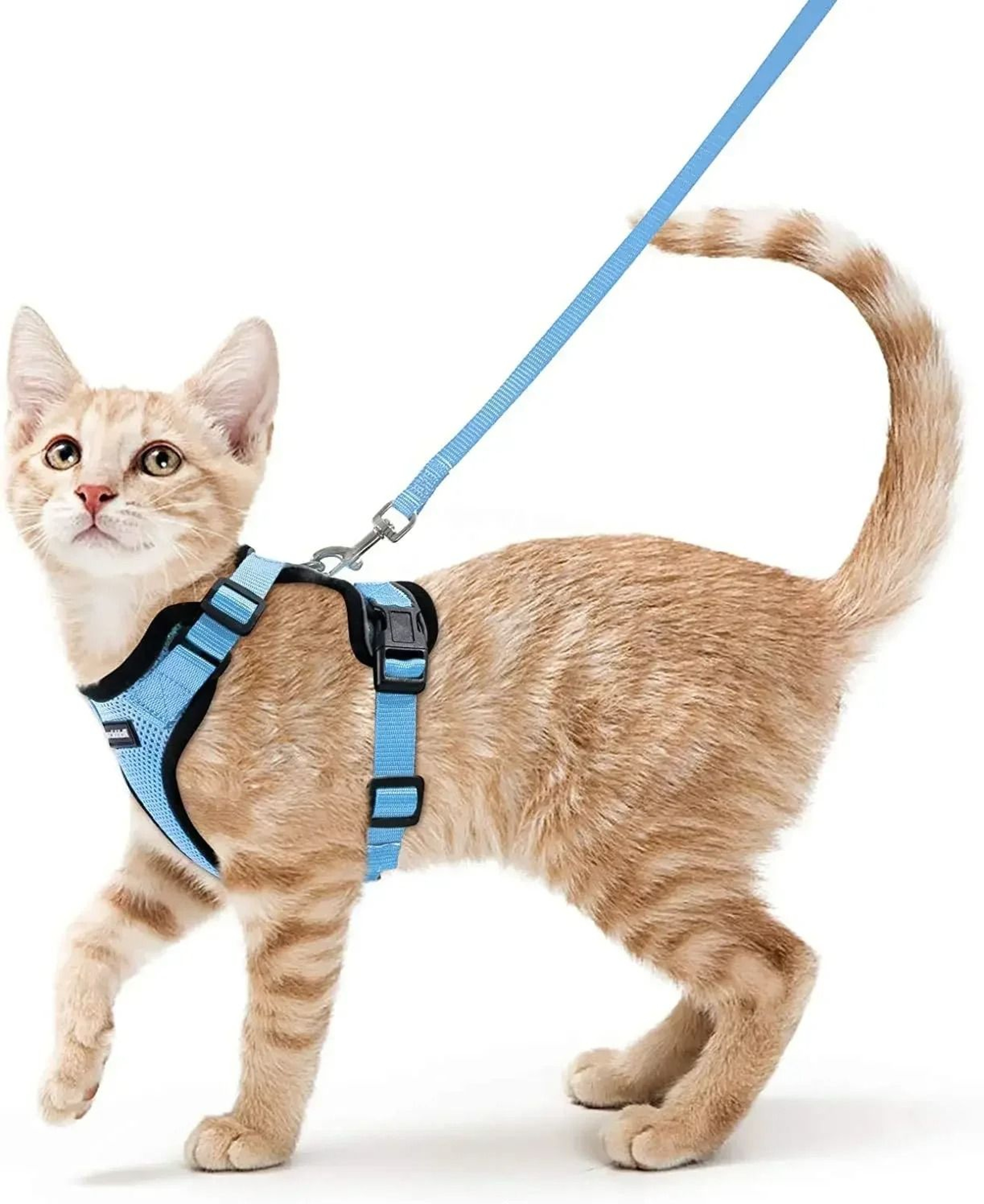 ATUBAN Escape Proof Cat Harness And Leash Set With Breathable Reflective Vest 14