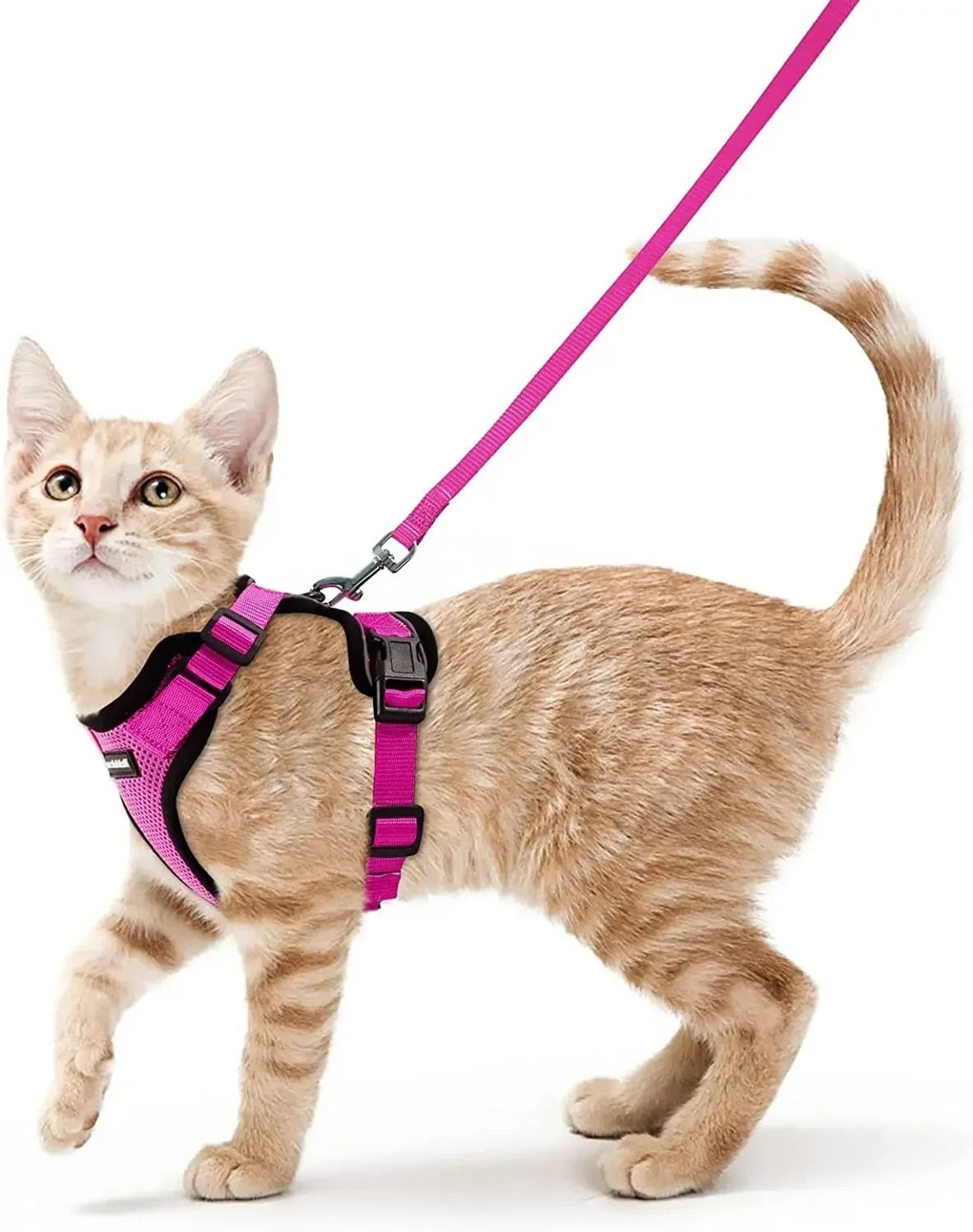 ATUBAN Escape Proof Cat Harness And Leash Set With Breathable Reflective Vest 6