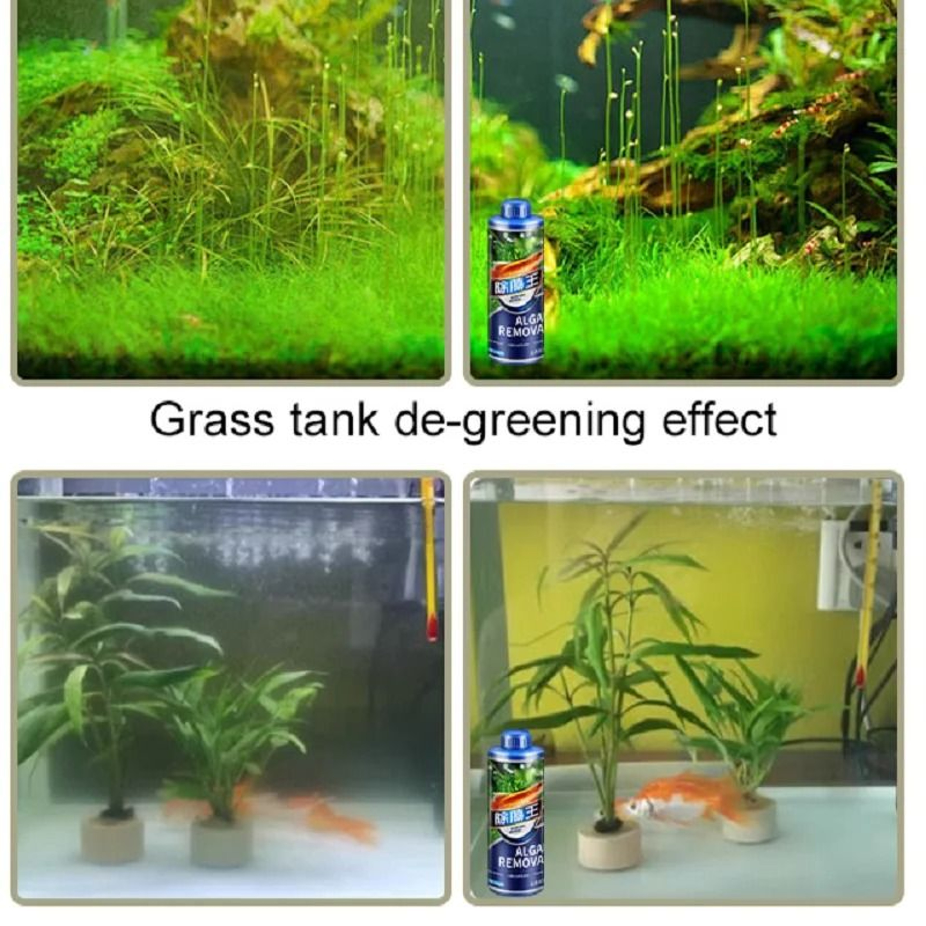 ProSeries Aquarium Algaecide  Water Clarifier 300ml 4