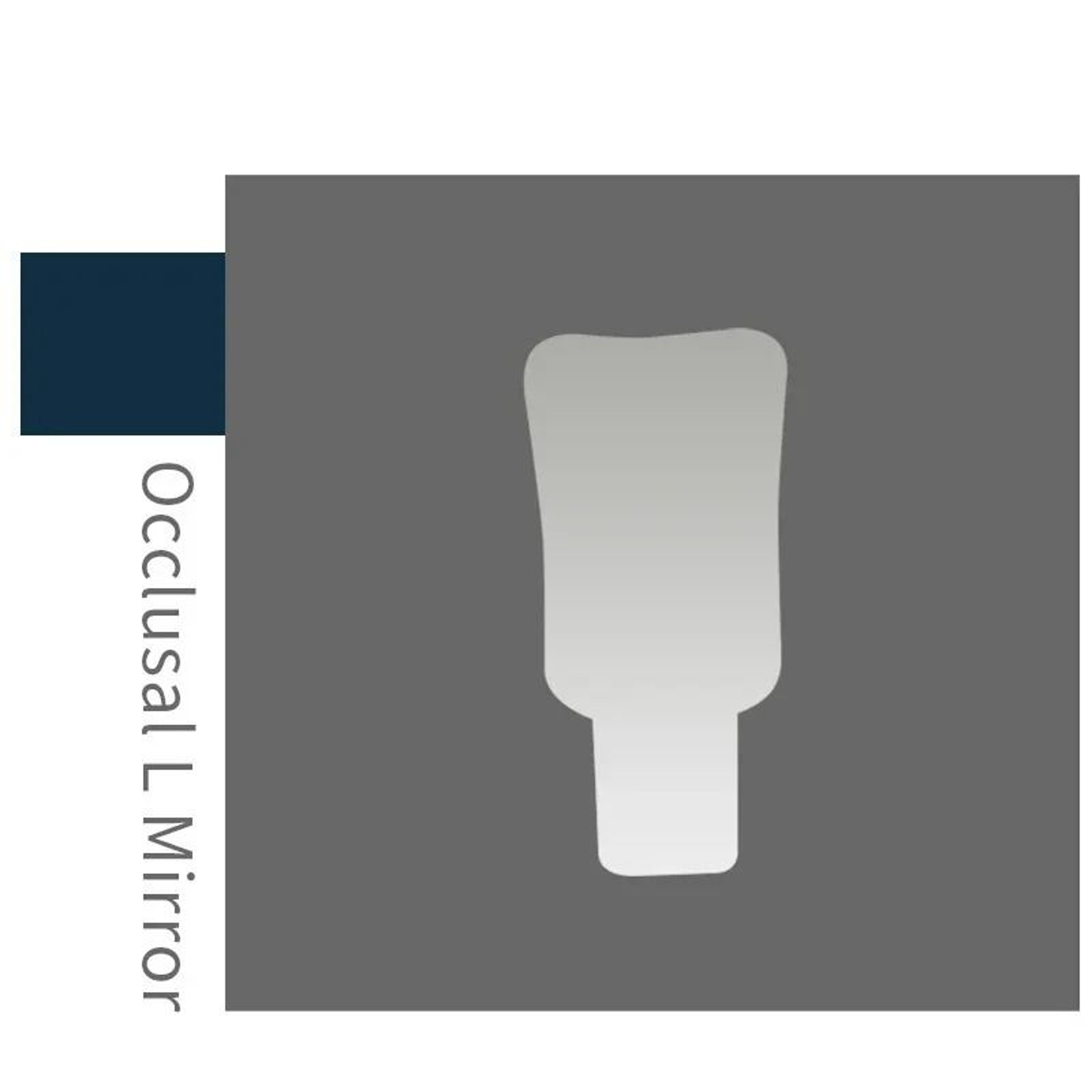 Professional Dental Intraoral Photography Mirrors  Orthodontic Defogging Reflector System 10