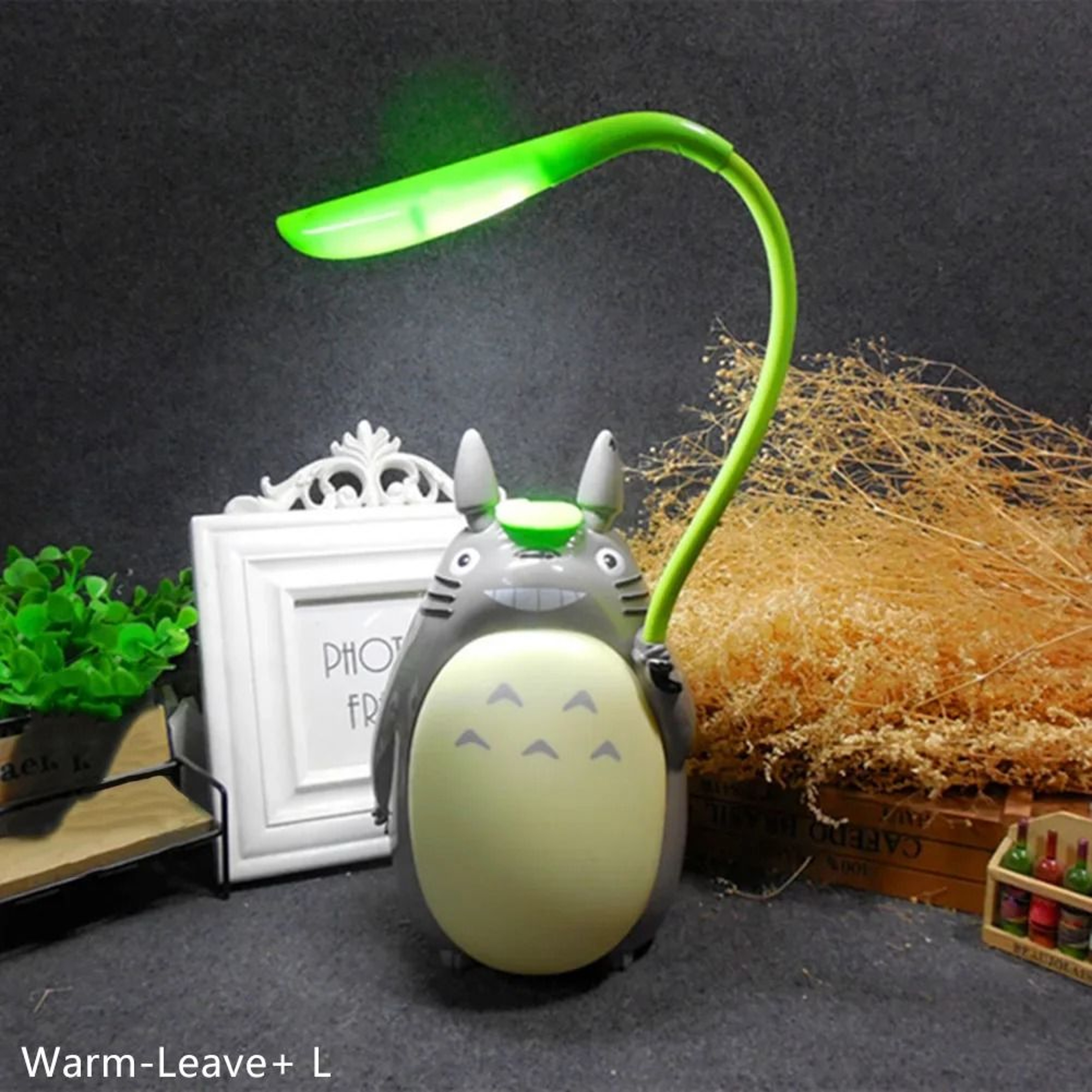 Creative Cartoon Totoro LED Reading Desk Lamp  Night Light USB Rechargeable 12