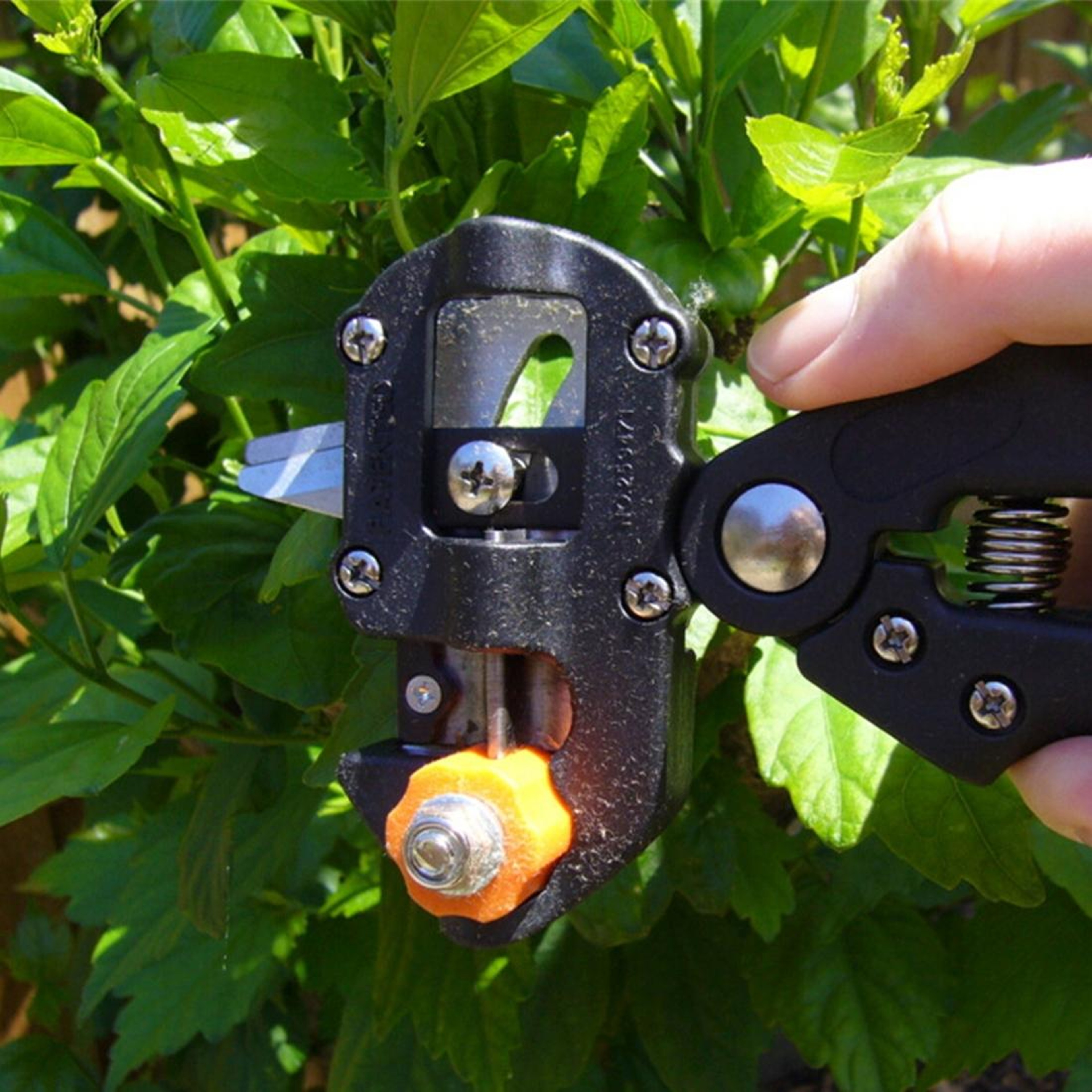 Professional Grafting Tool Kit with Pruning Scissors & 3 Precision Blades for Fruit Tree Grafting – view 9