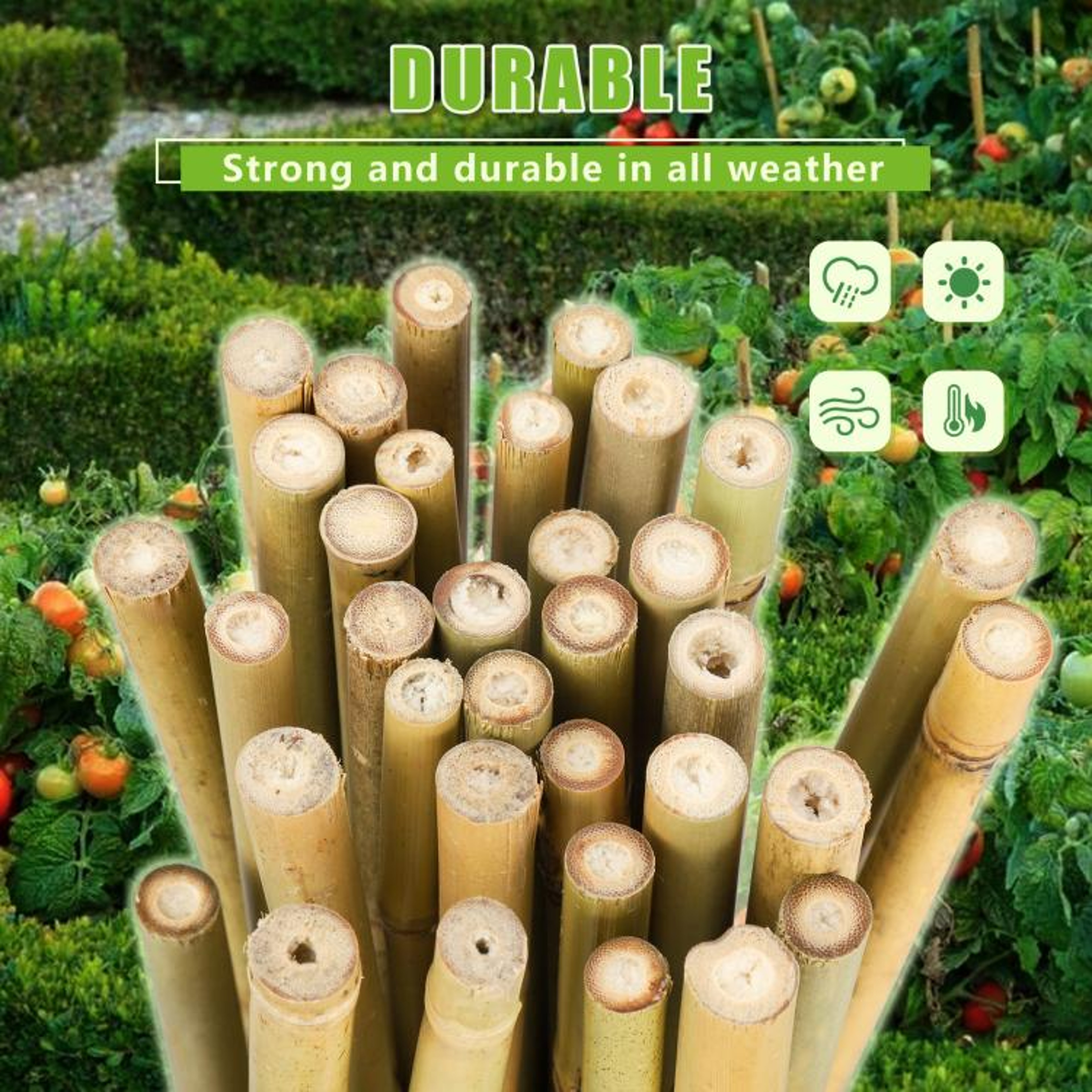 Natural Bamboo Plant Stakes 3 FT Garden Support Poles 4