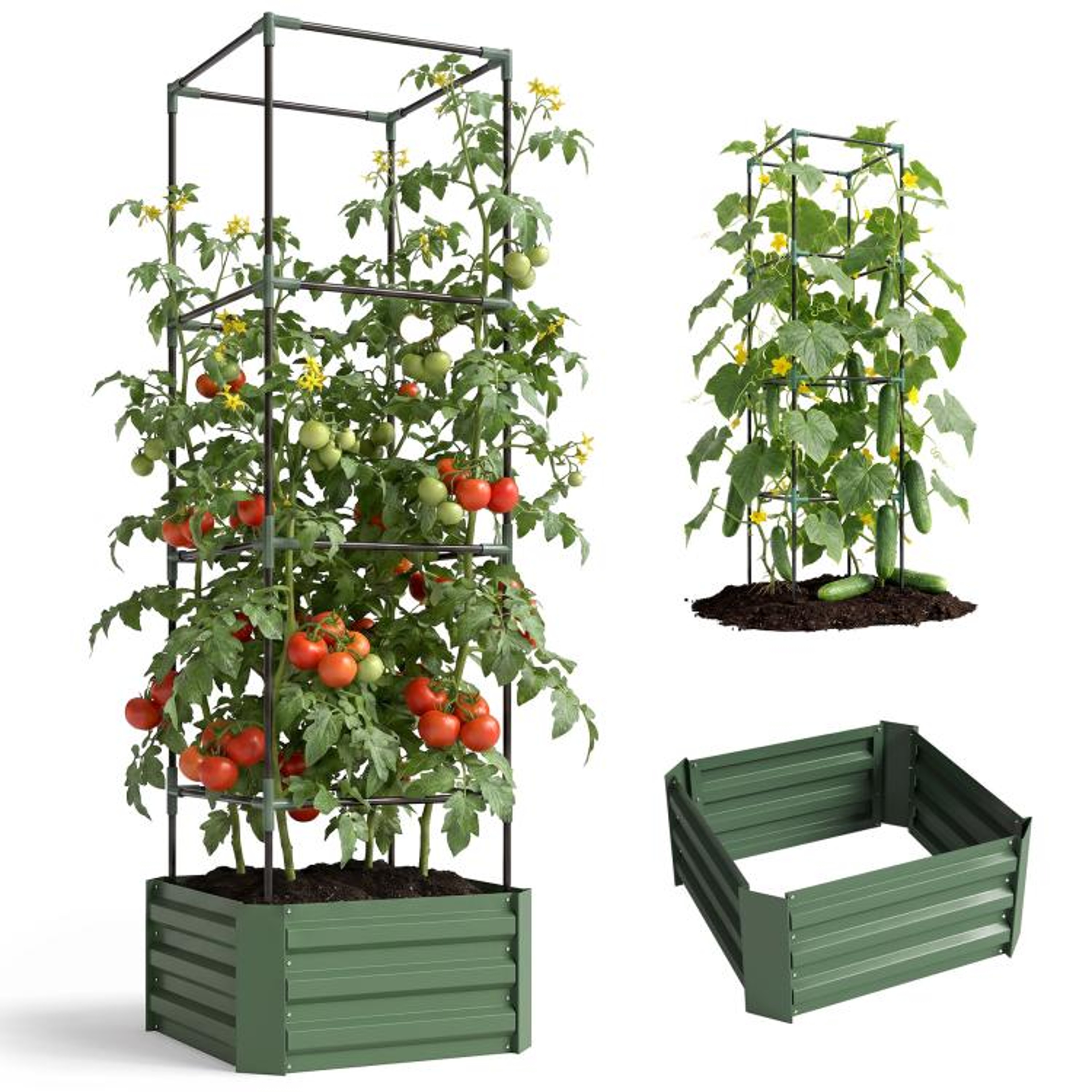 Galvanized Raised Garden Bed With Adjustable Tomato Trellis Cage  Green 0