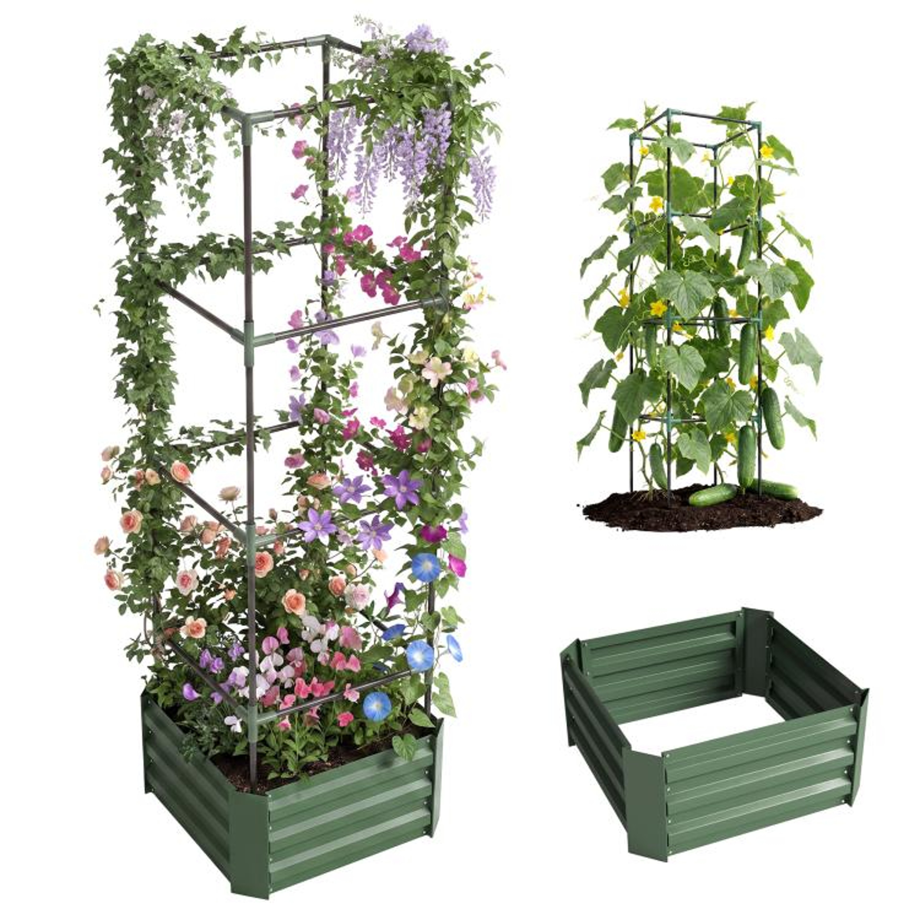 Galvanized Raised Garden Bed With Adjustable Tomato Trellis Cage  Green 1