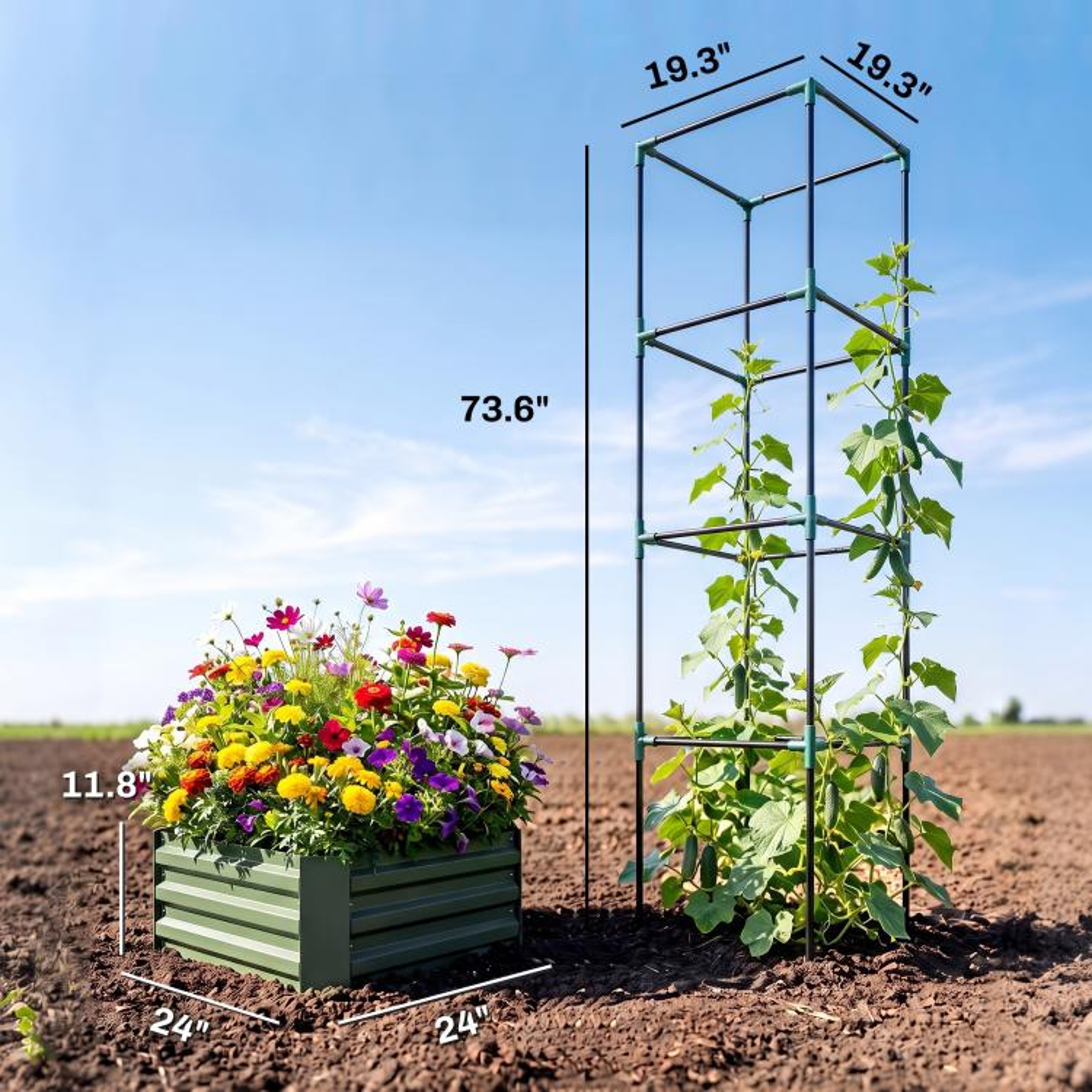 Galvanized Raised Garden Bed With Adjustable Tomato Trellis Cage  Green 4