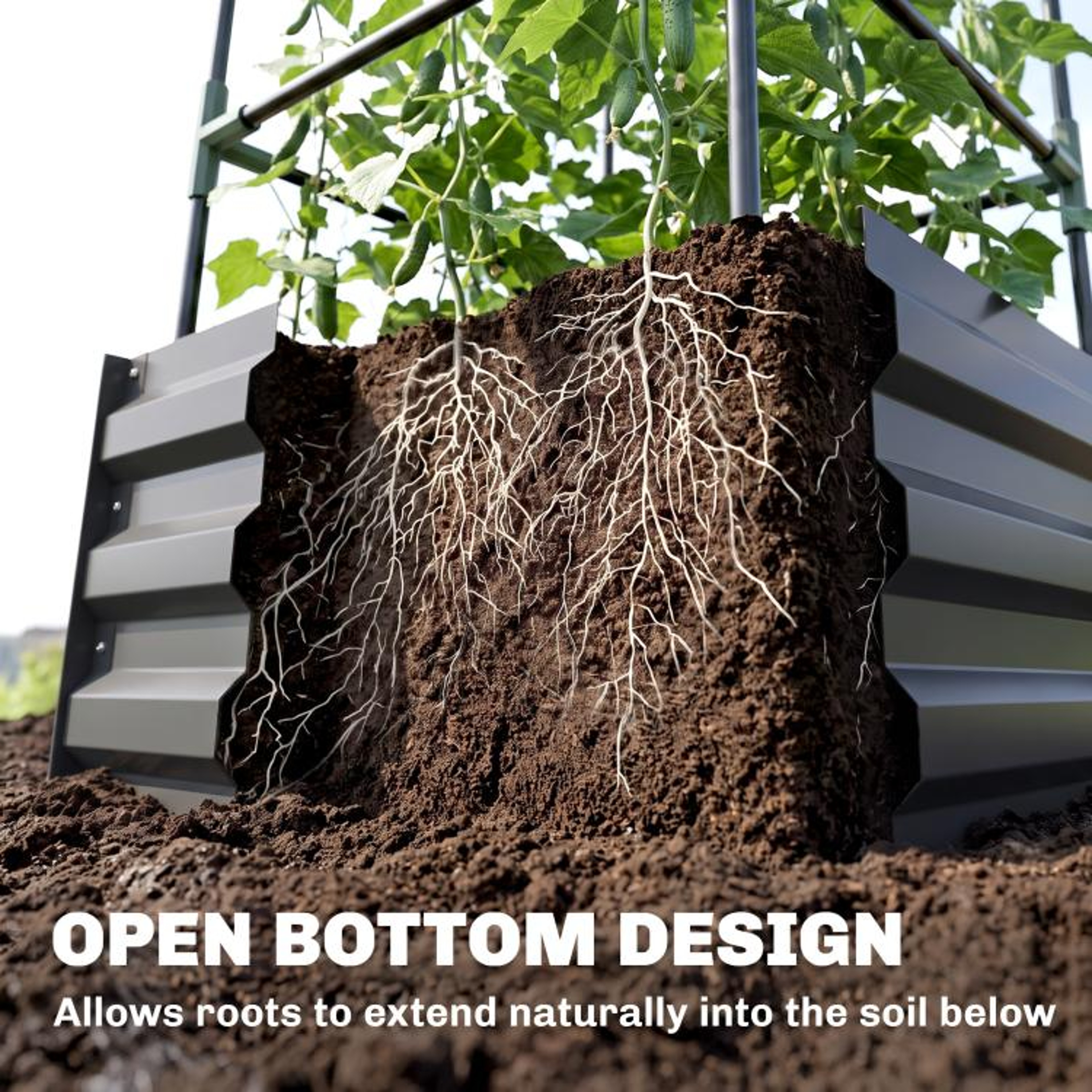 Galvanized Steel Raised Garden Bed With Adjustable Tomato Trellis  Dark Gray 5