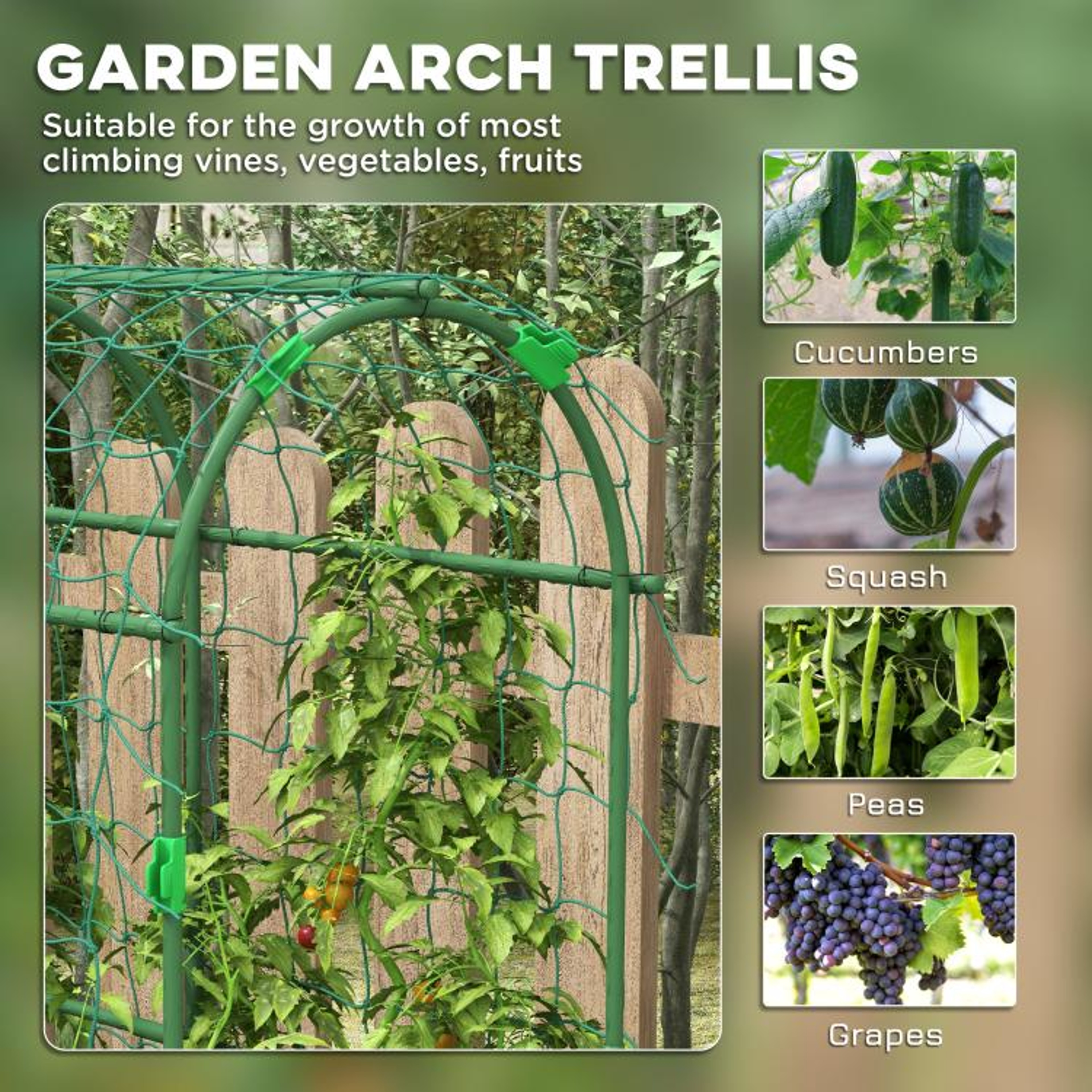 Metal Garden Arch Trellis For Climbing Plants With Netting  Green 4