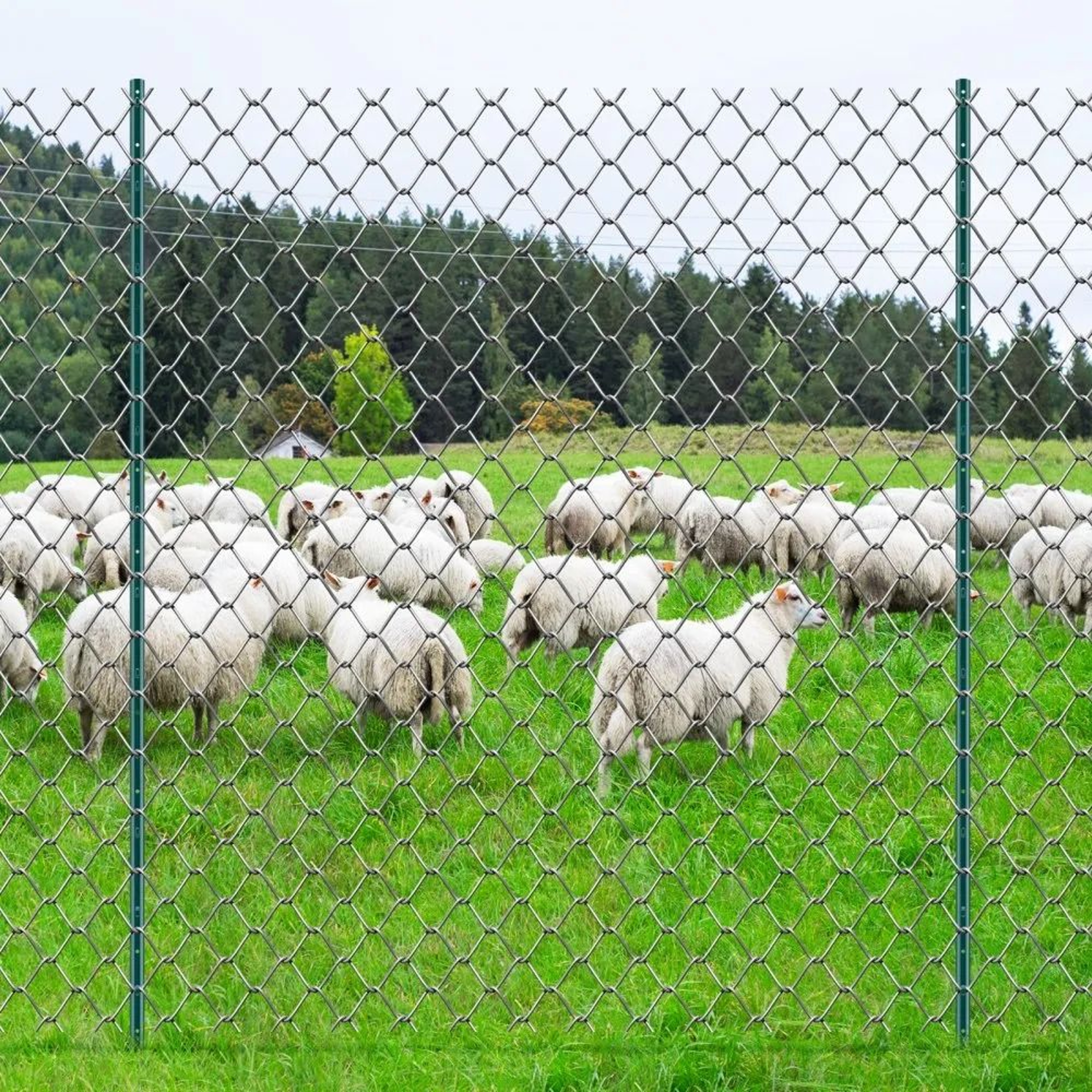 7 Feet Heavy Duty Metal Fence Posts 10 Pack U Channel Steel Stakes For Garden Farm Fencing 6
