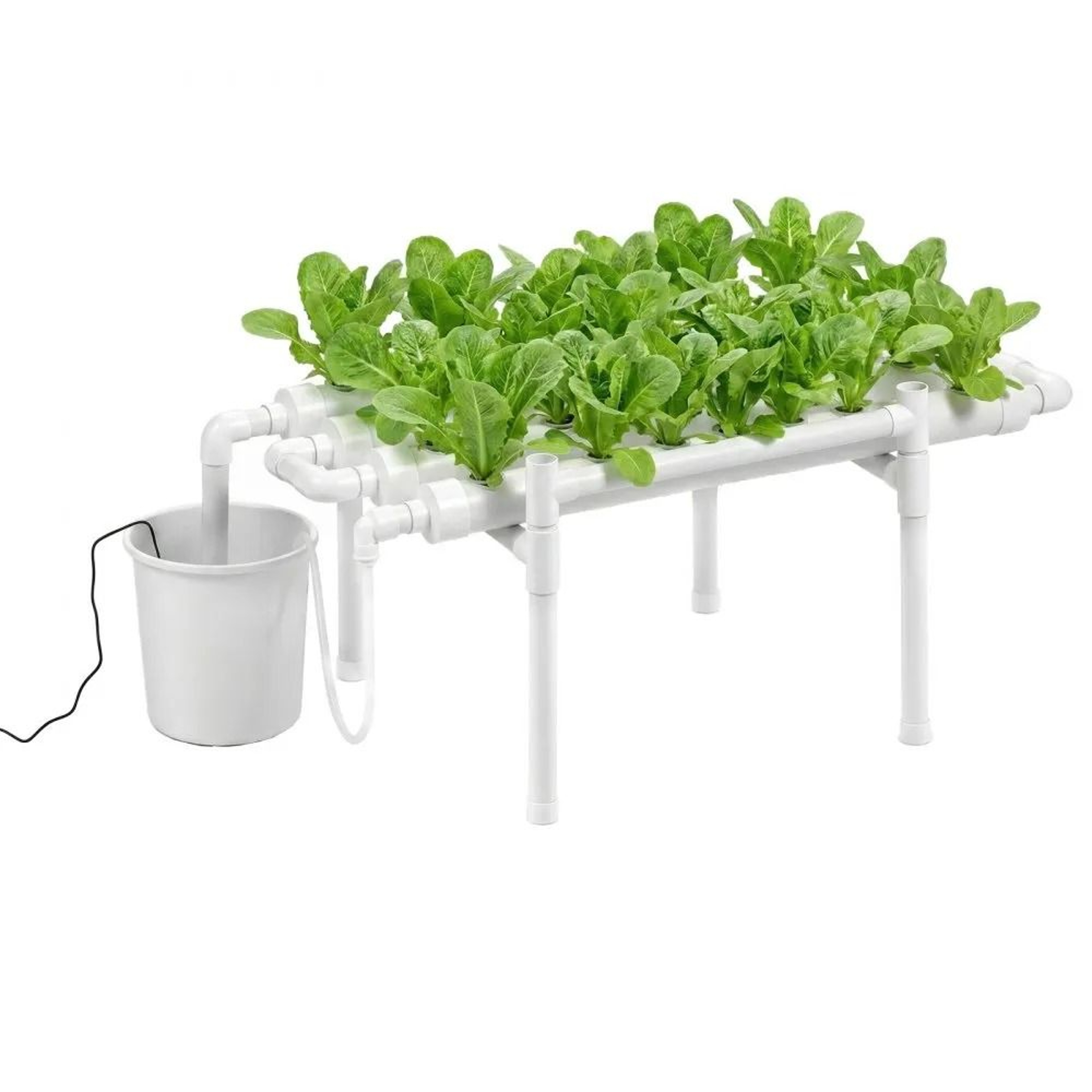 36Site Hydroponic Growing System With Automatic Timed Irrigation 8