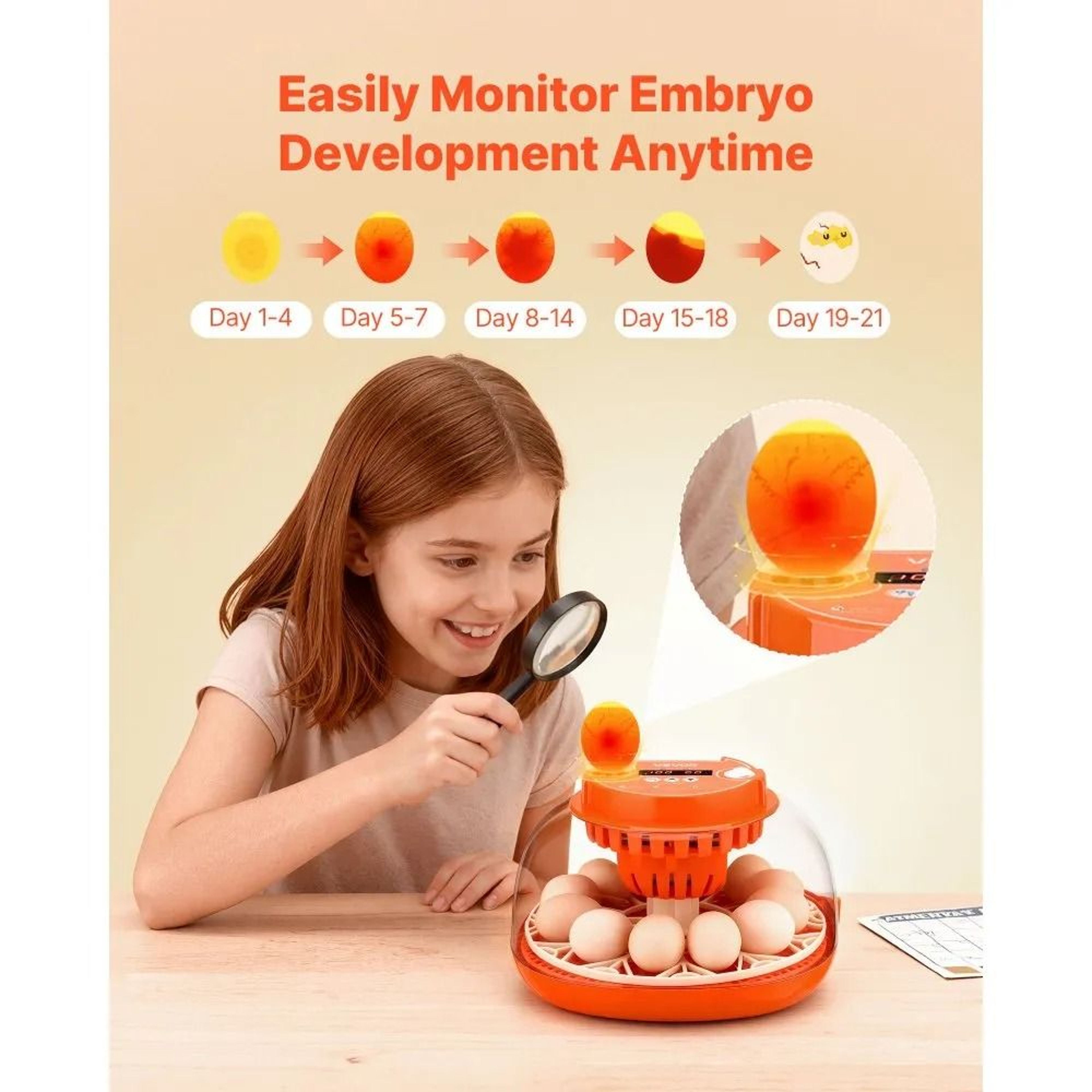 12 Egg Incubator With Automatic Turner And LED Candler 3