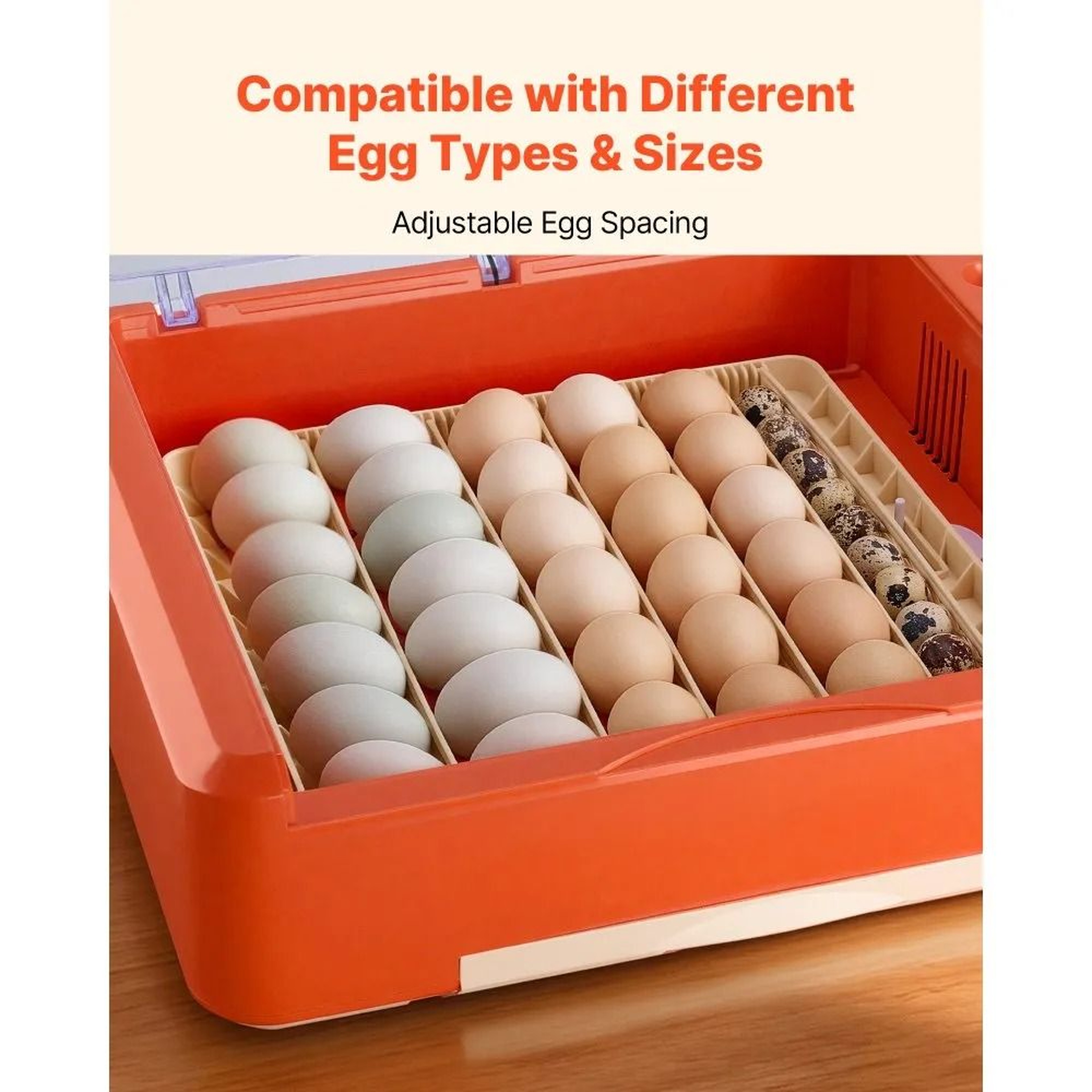 Smart 36 Egg Incubator With Automatic Turner And LED Candler 2