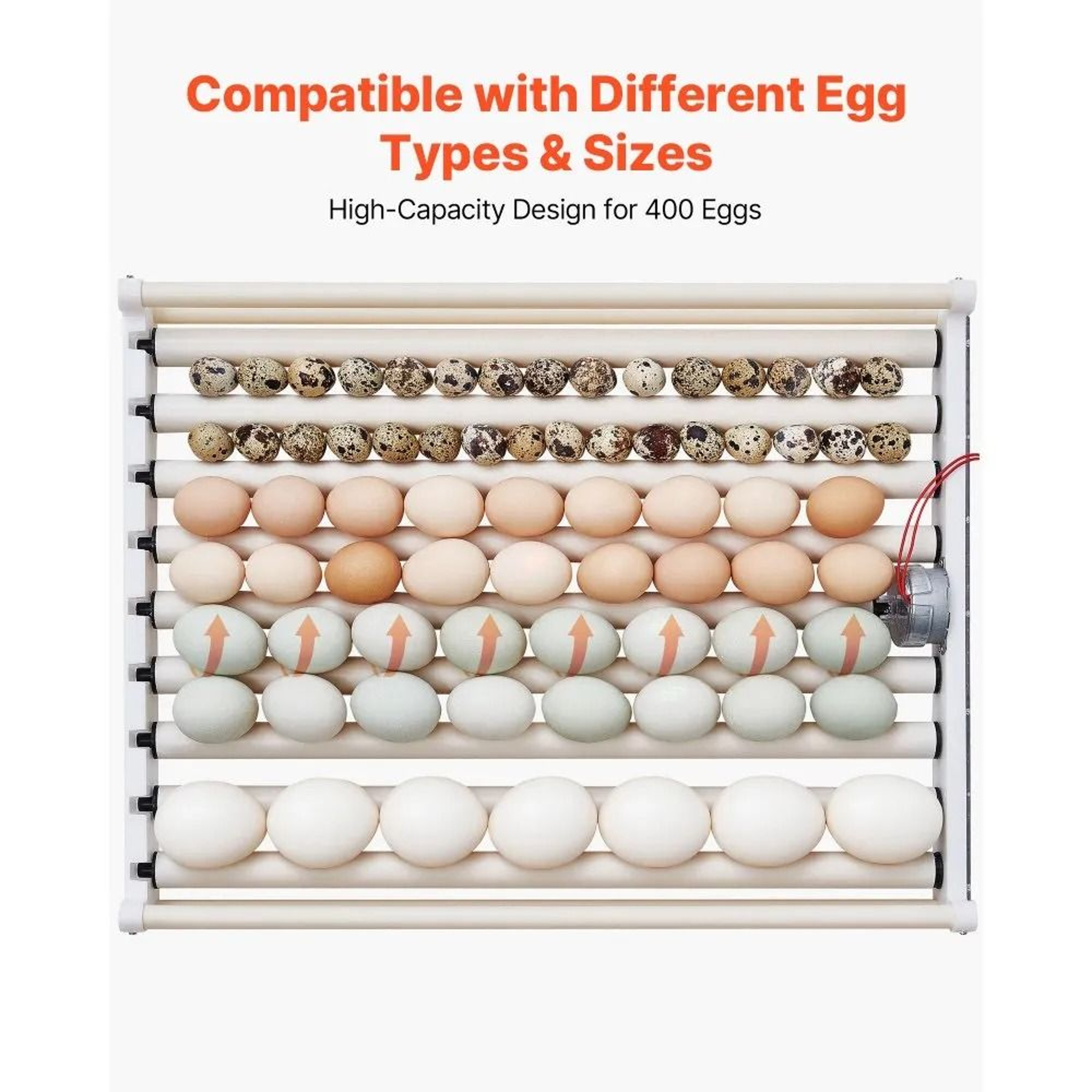 400 Egg Incubator Cabinet With Automatic Turning Temperature And Humidity Control 5