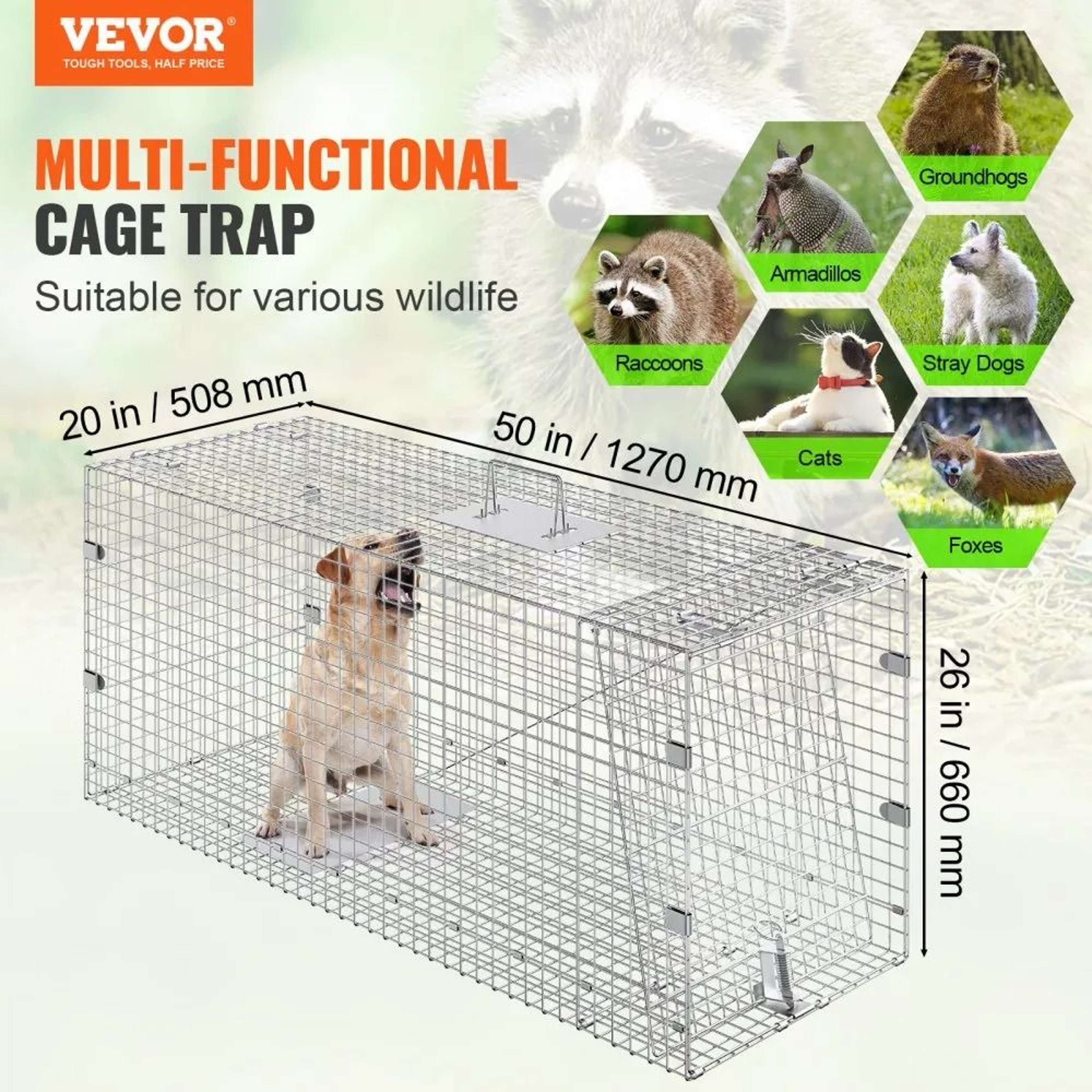 Humane Live Animal Cage Trap Galvanized Folding Trap With Carry Handle 2