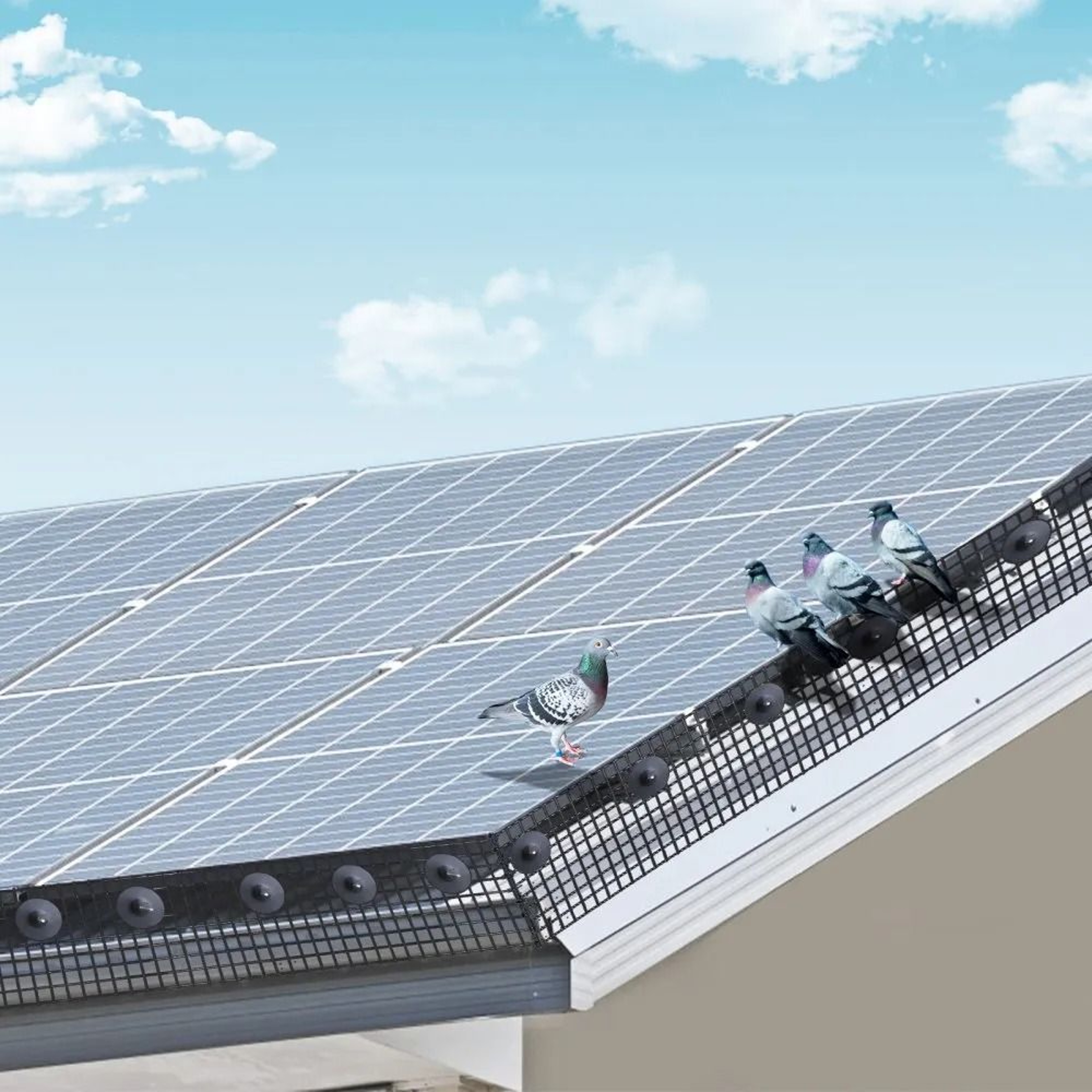 Solar Panel Bird Guard Critter Proof PVC Coated Wire Mesh Kit 6 Inch X 50 Ft 6