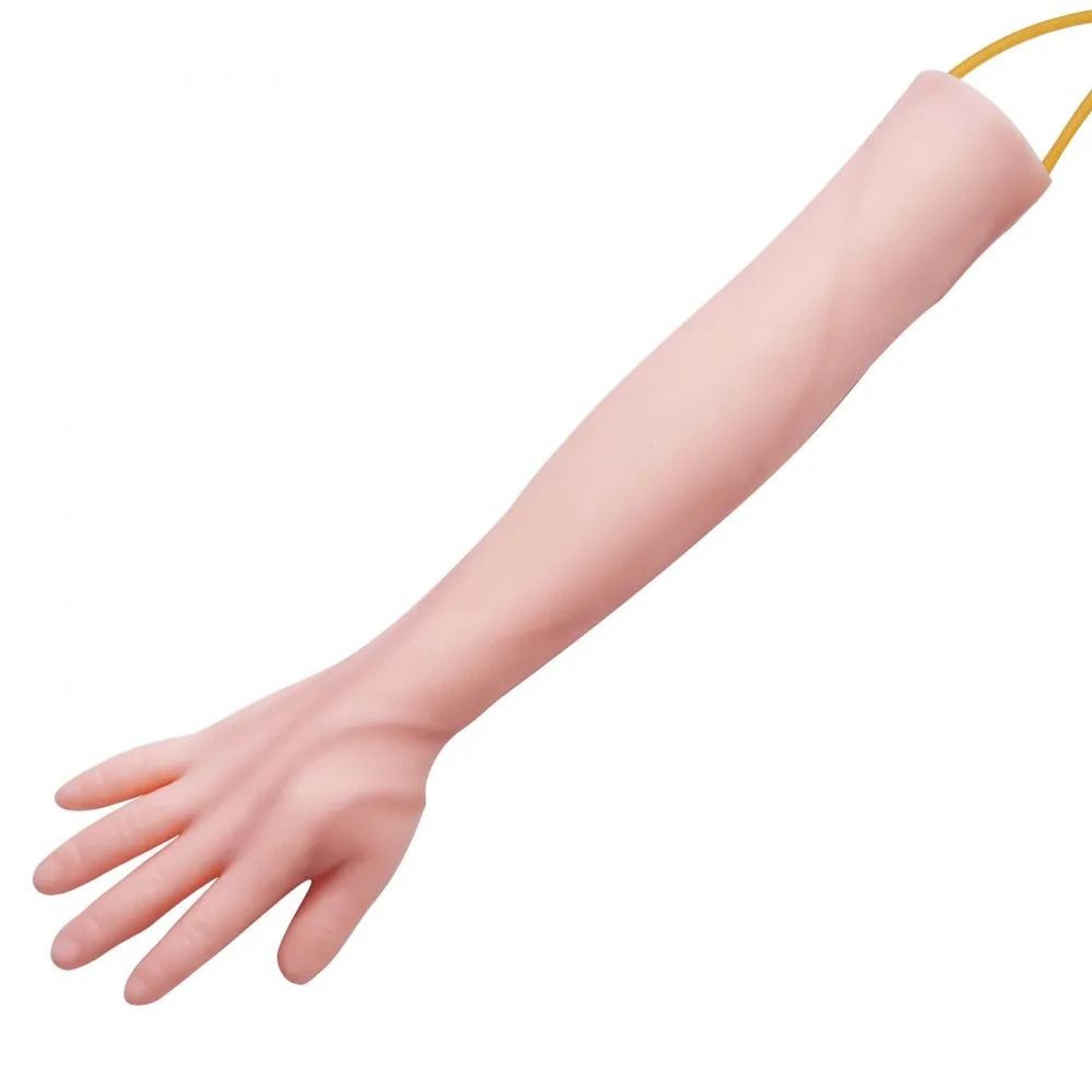 Realistic Phlebotomy Practice Arm IV Venipuncture Training Kit 6