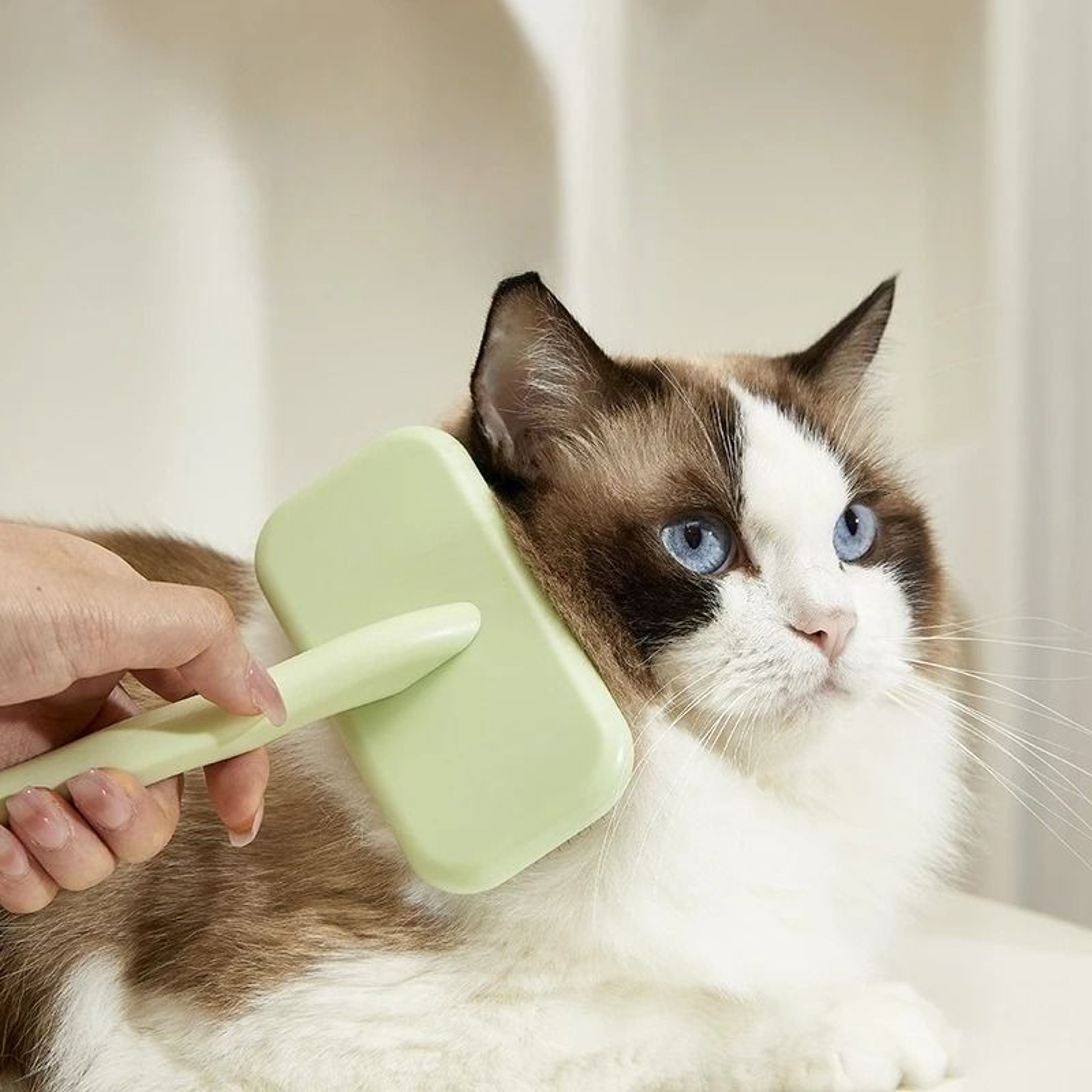 Pet Massage And HairRemoval Brush For Cats And Dogs 3