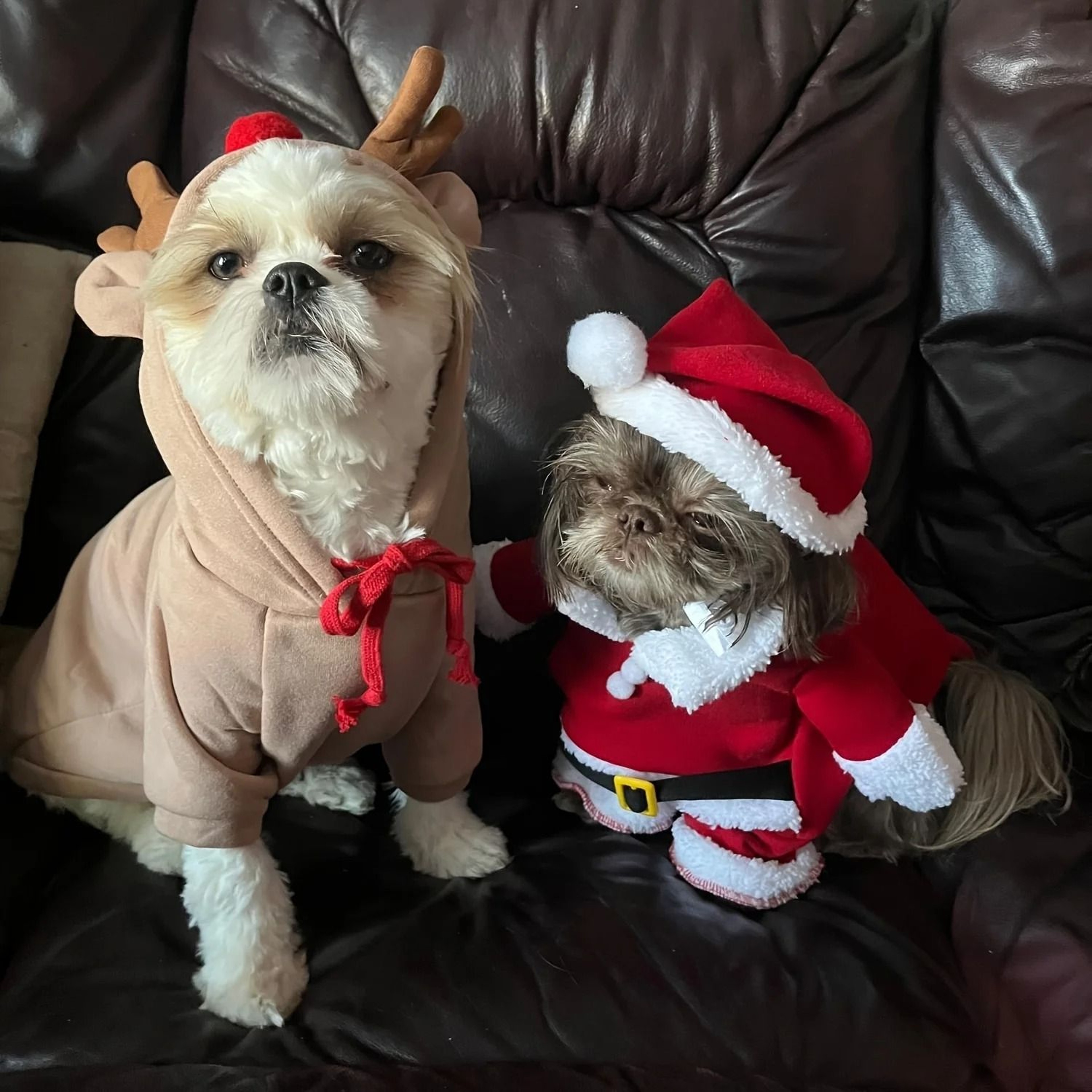 Cozy Elk Hooded Pet Sweater For Autumn And Winter Warmth 3