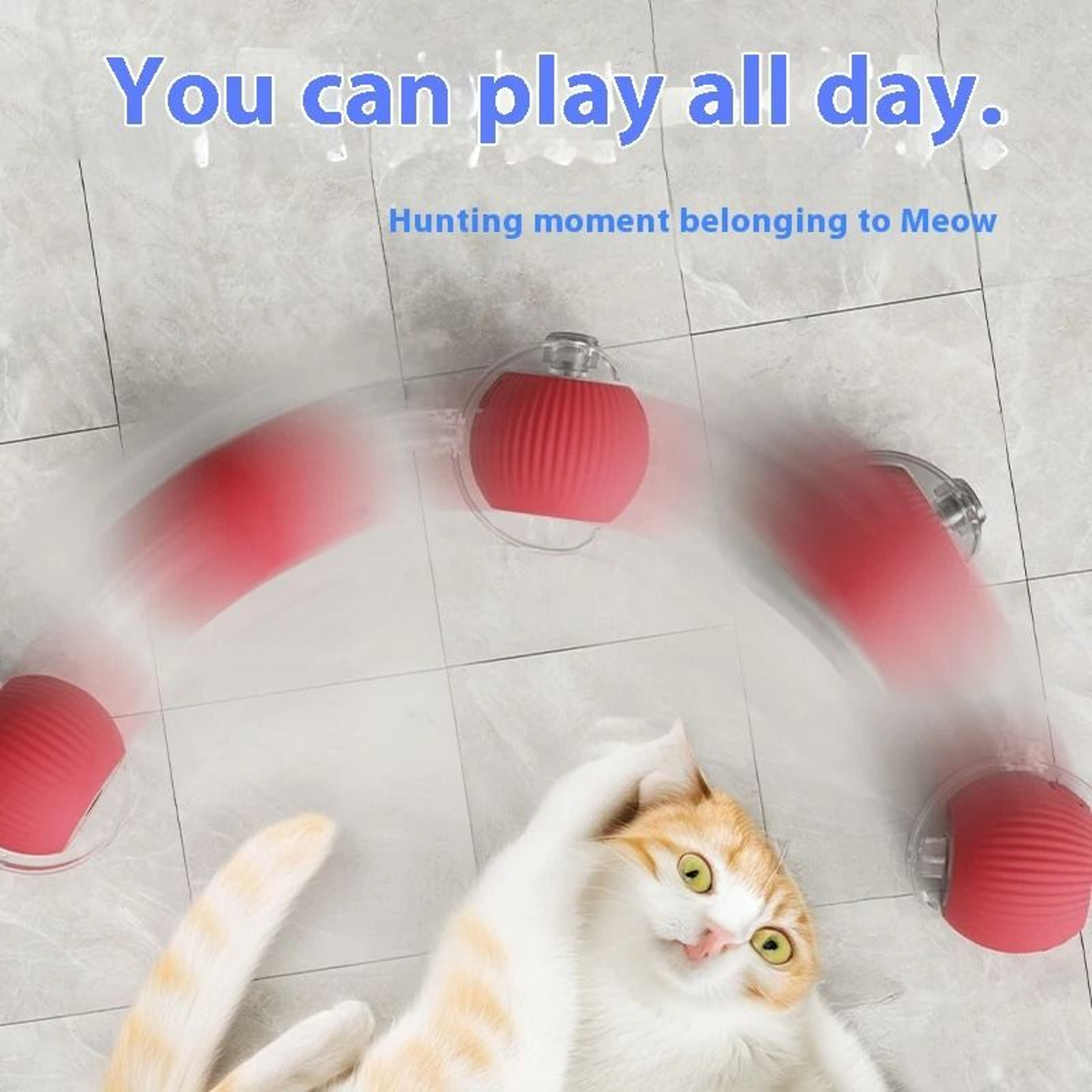 Electric Rolling Cat Toy Ball With Teaser Bird 1