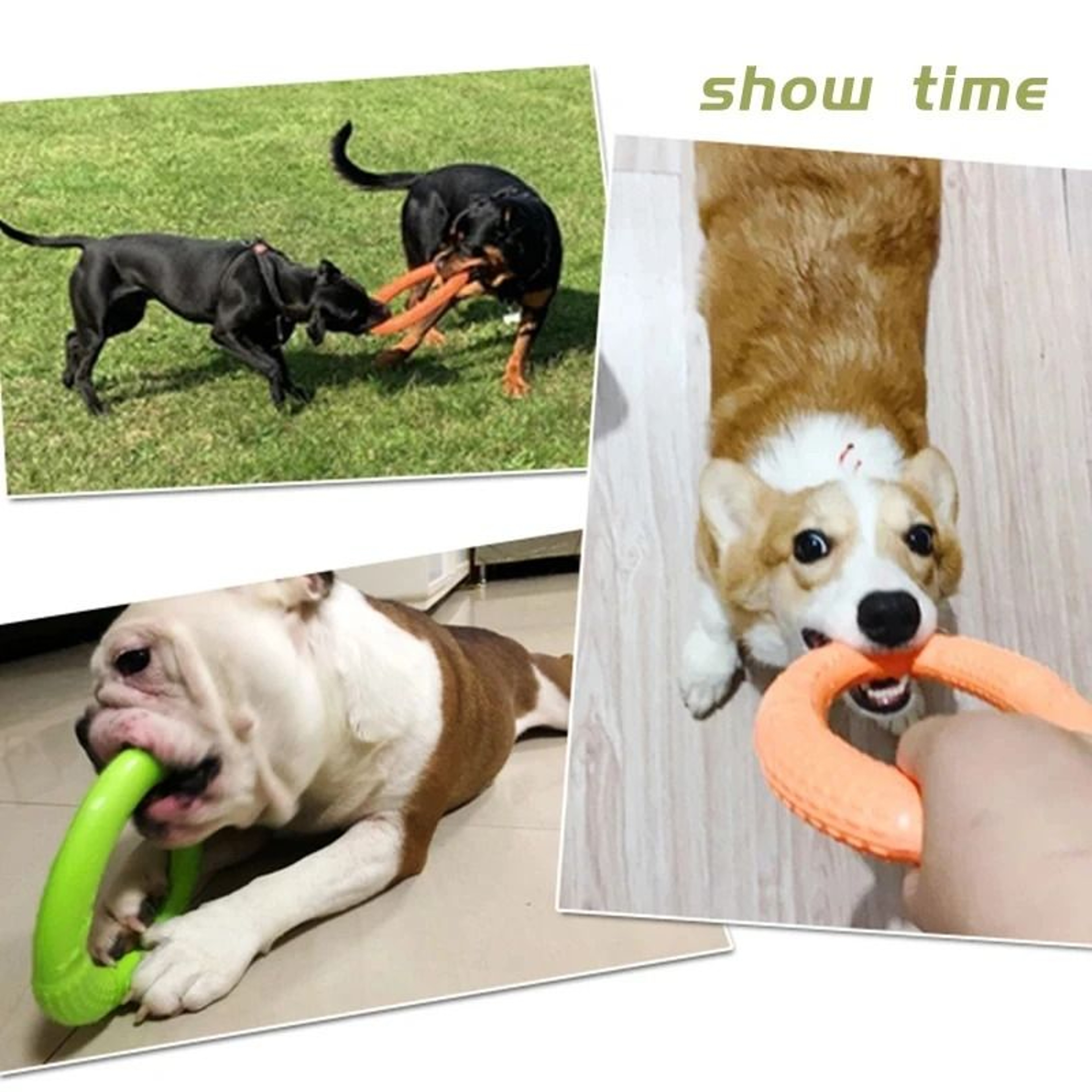 Floating Dog Training Ring Toy 1