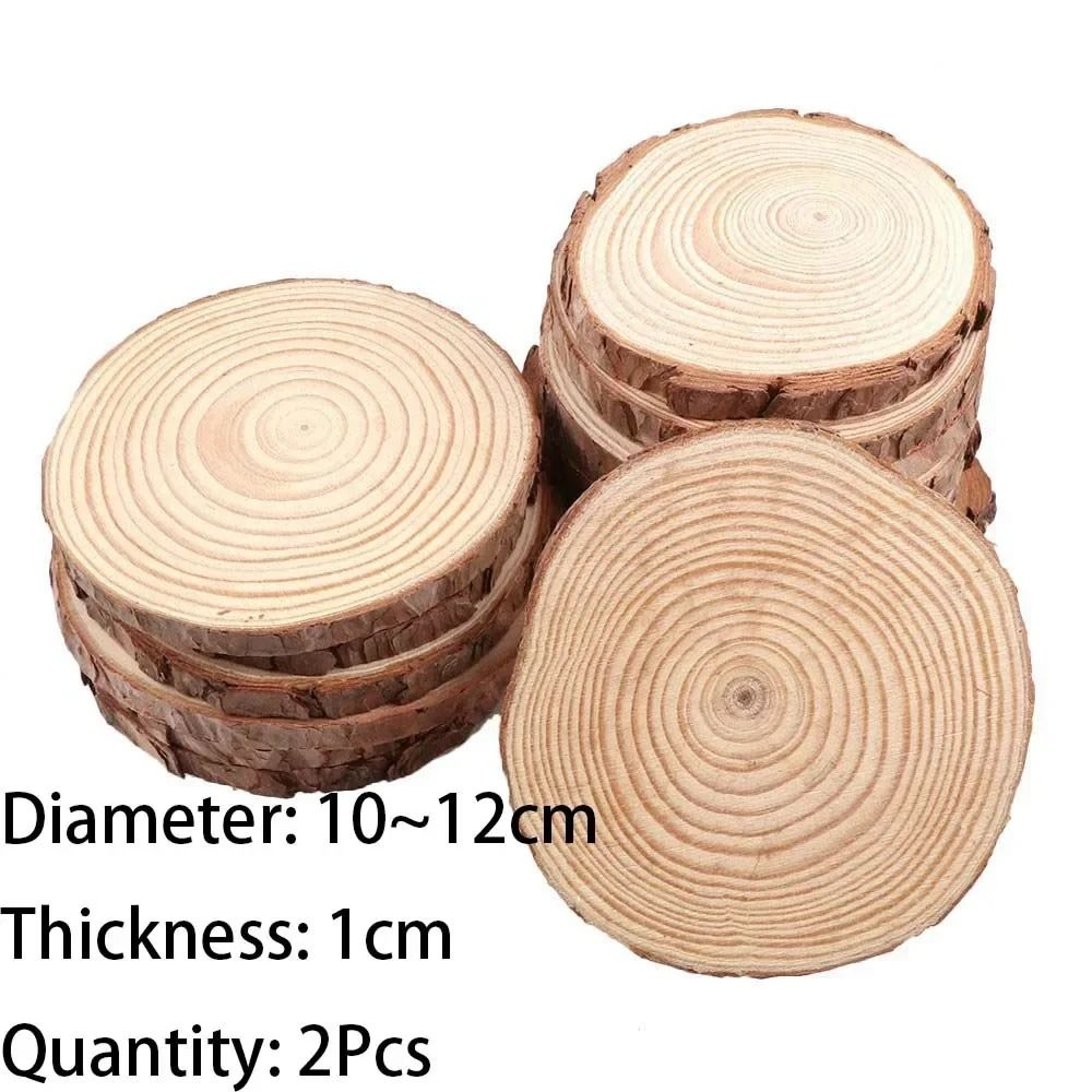 Natural Pine Wood Craft Slice Set 11