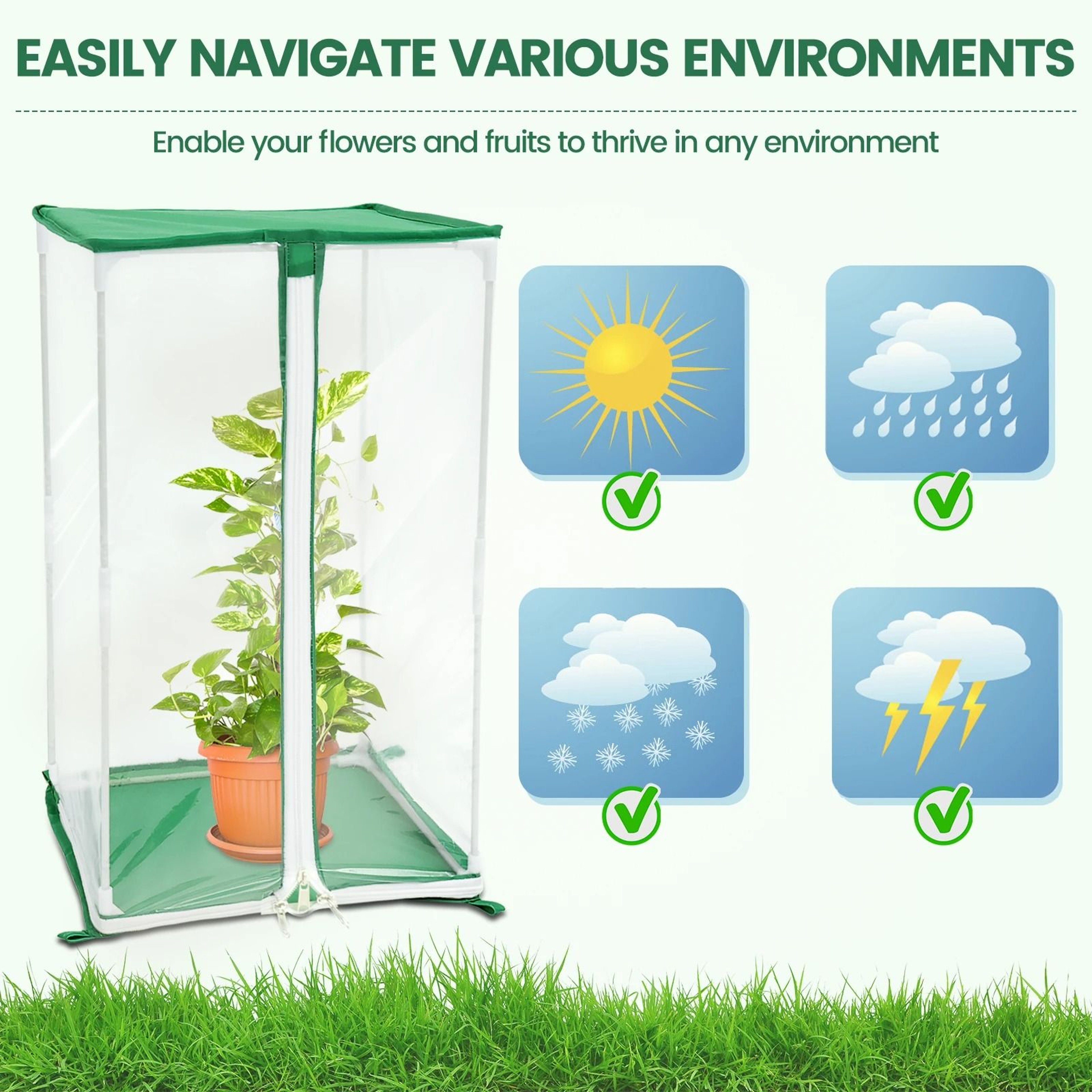 Mini Portable Clear Greenhouse 4