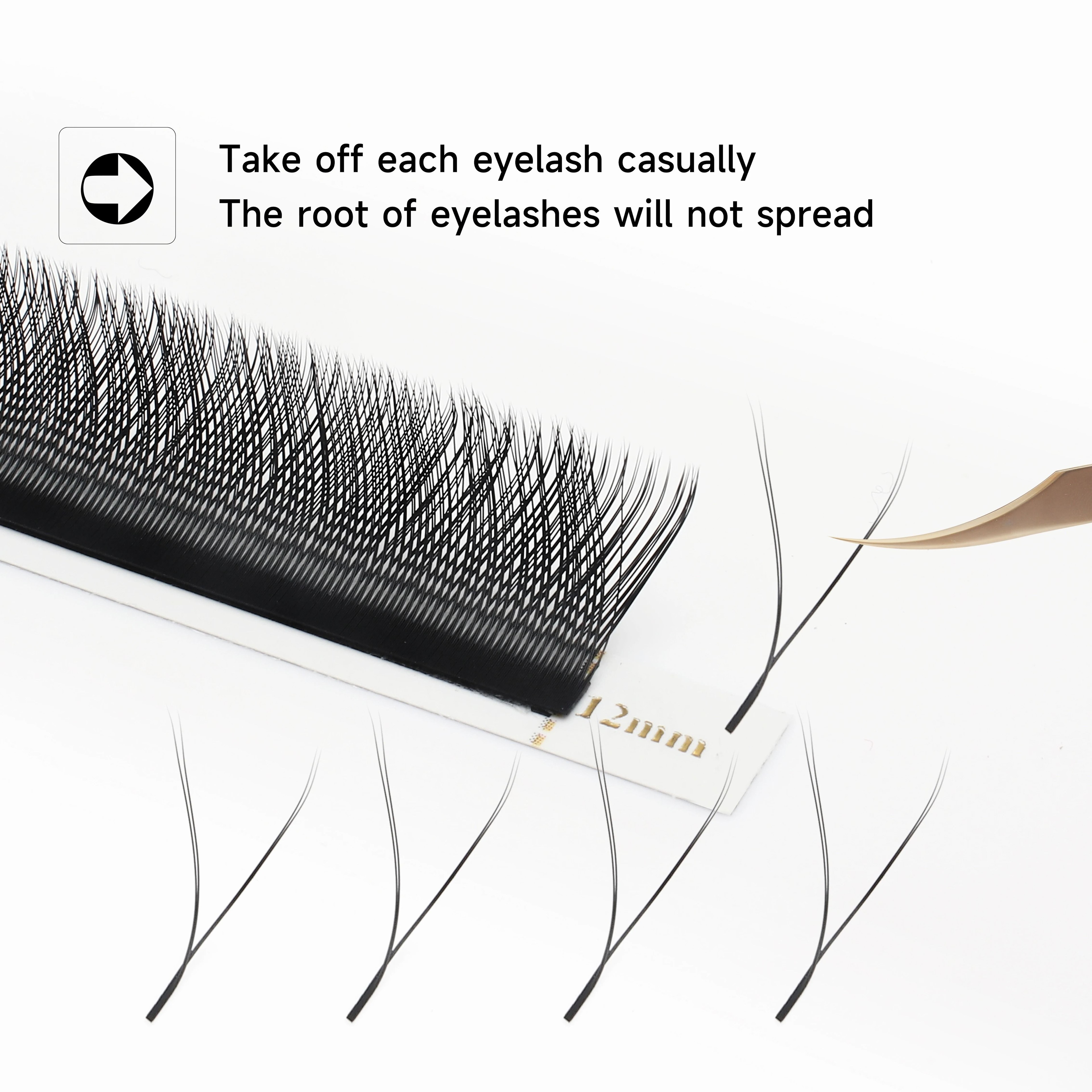 Panoramic Bloom W Series Eyelash Collection 1
