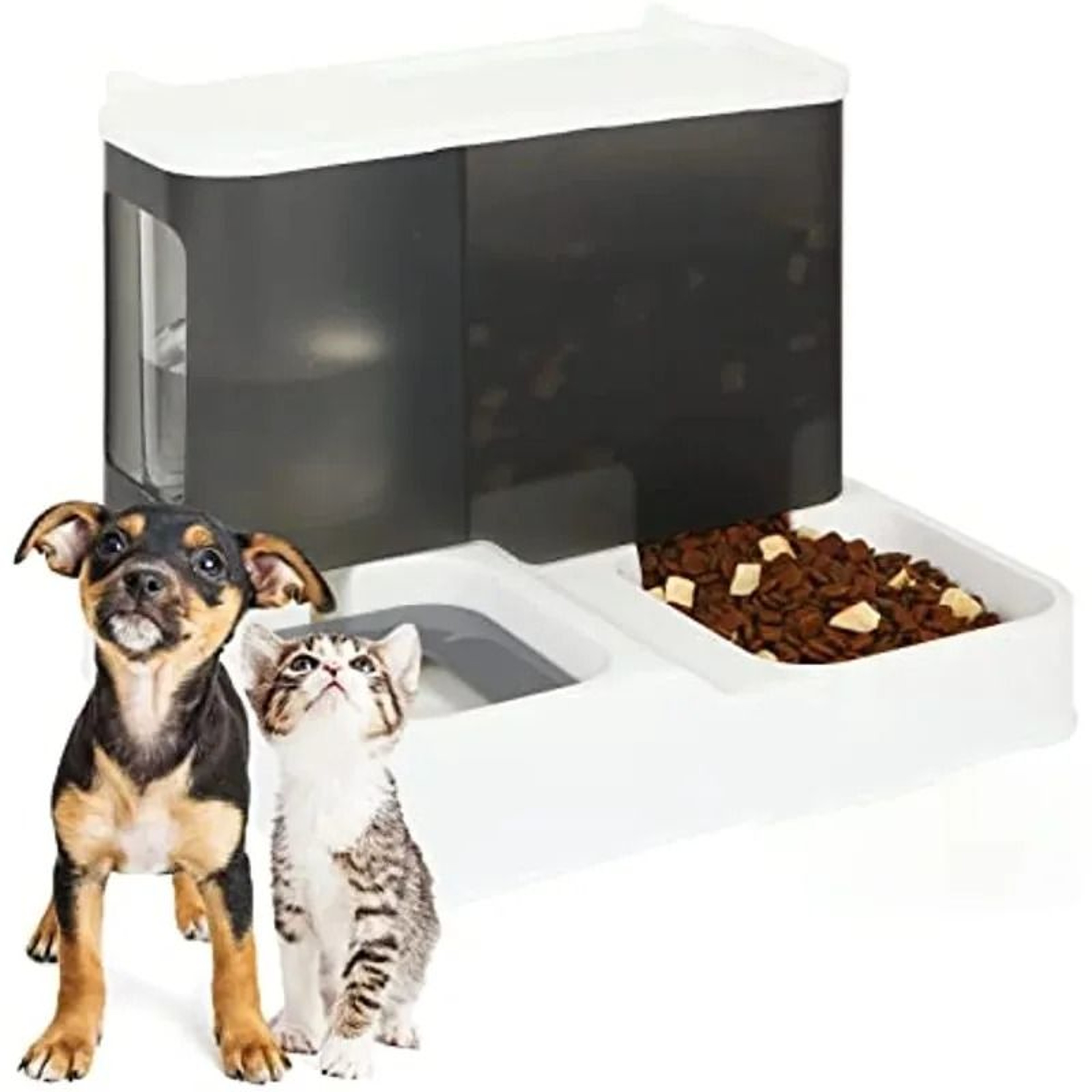 2 In 1 Automatic Pet Gravity Feeder And Waterer 3