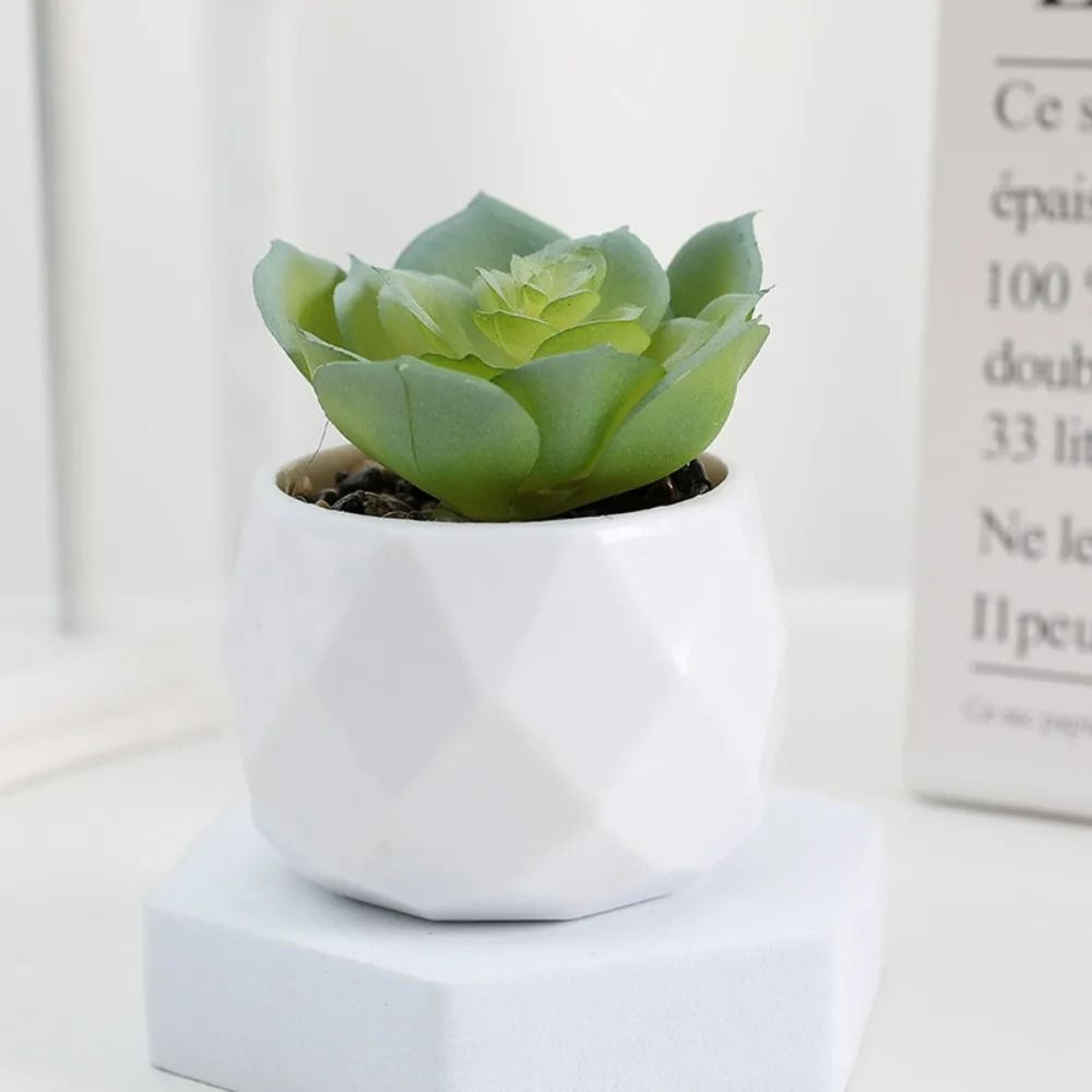 Evergreen Architectural Simulation Succulent Bonsai 12