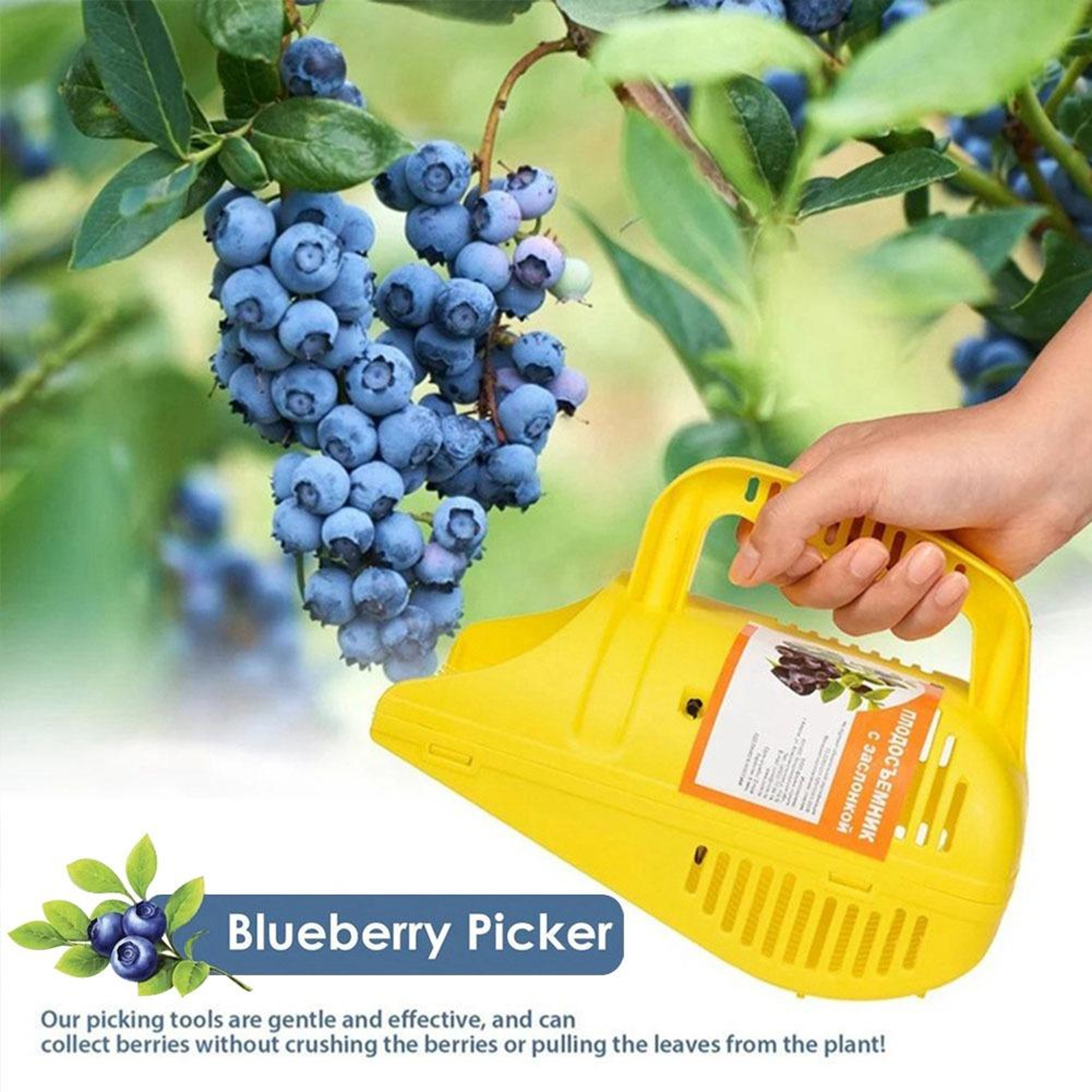 Portable Blueberry Picker Comb Berry Harvesting Tool With Ergonomic Handle 1