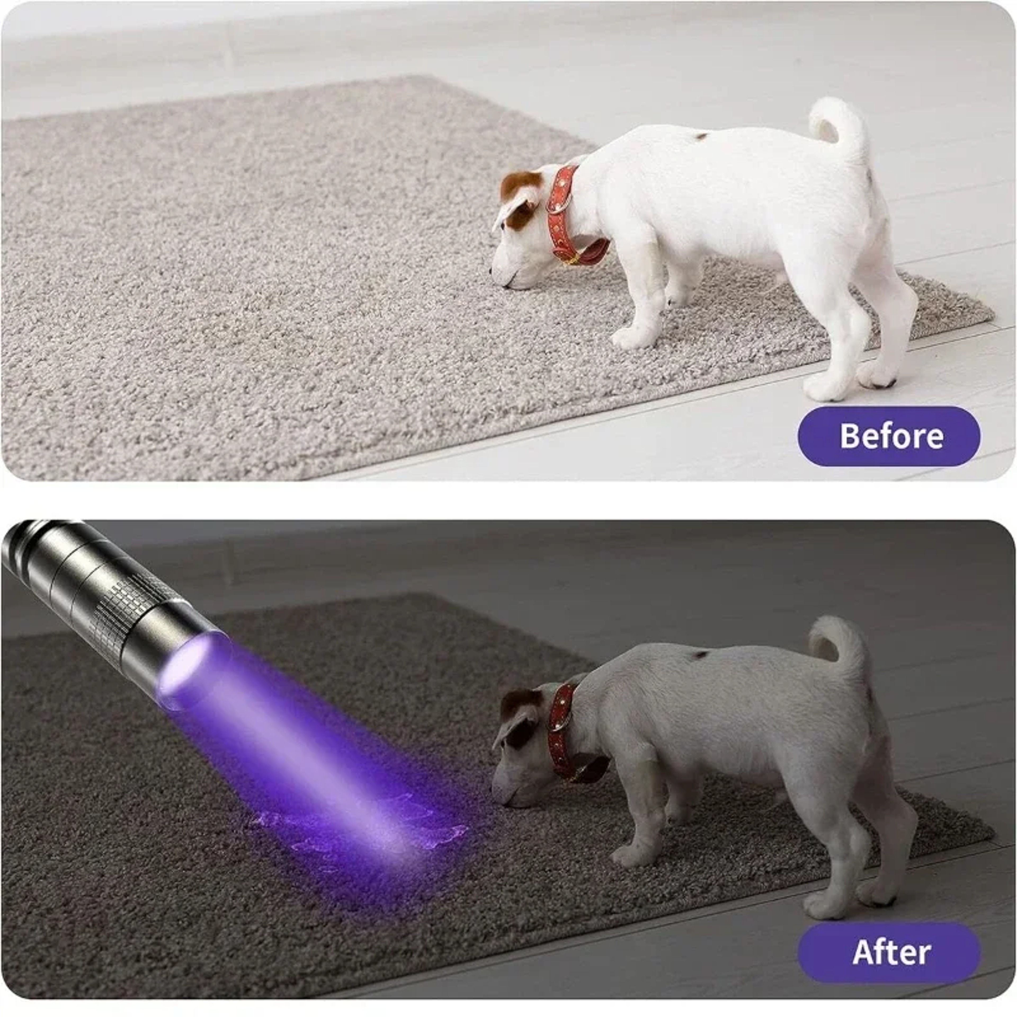 UV Flashlight Portable Black Light Pet Urine Detector Torch 2