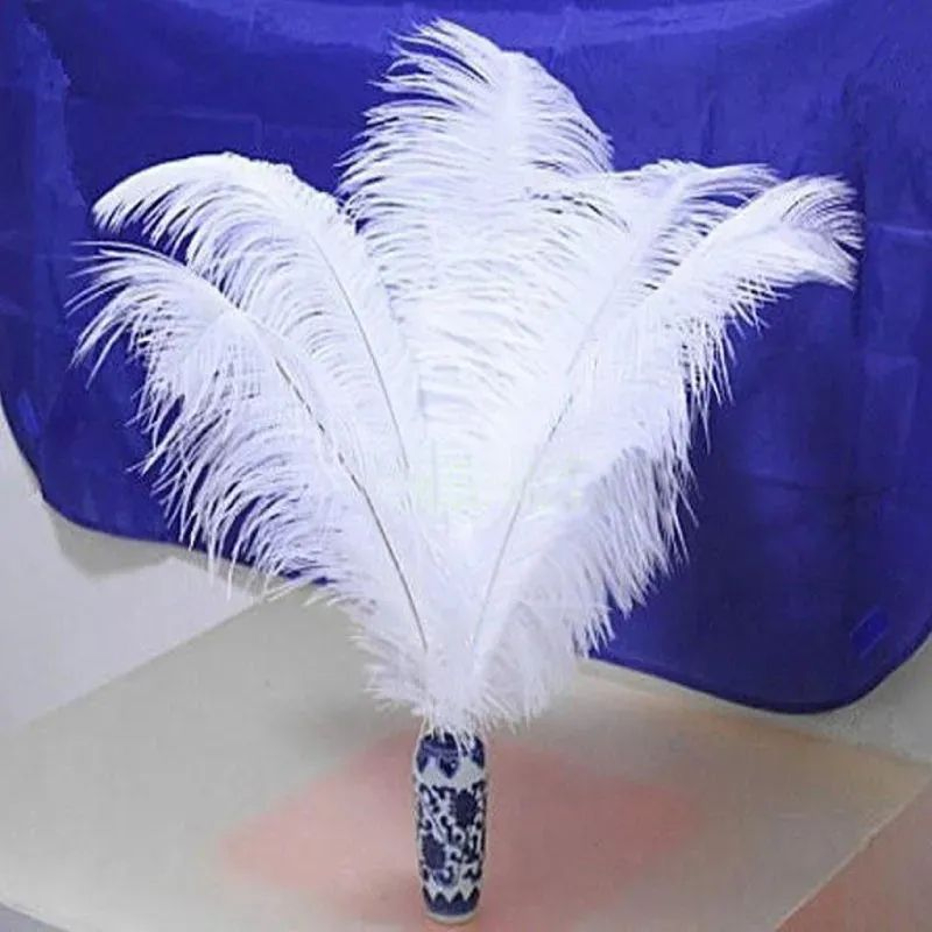 White Ostrich Feathers For Wedding Centerpieces And Party Decorations 3