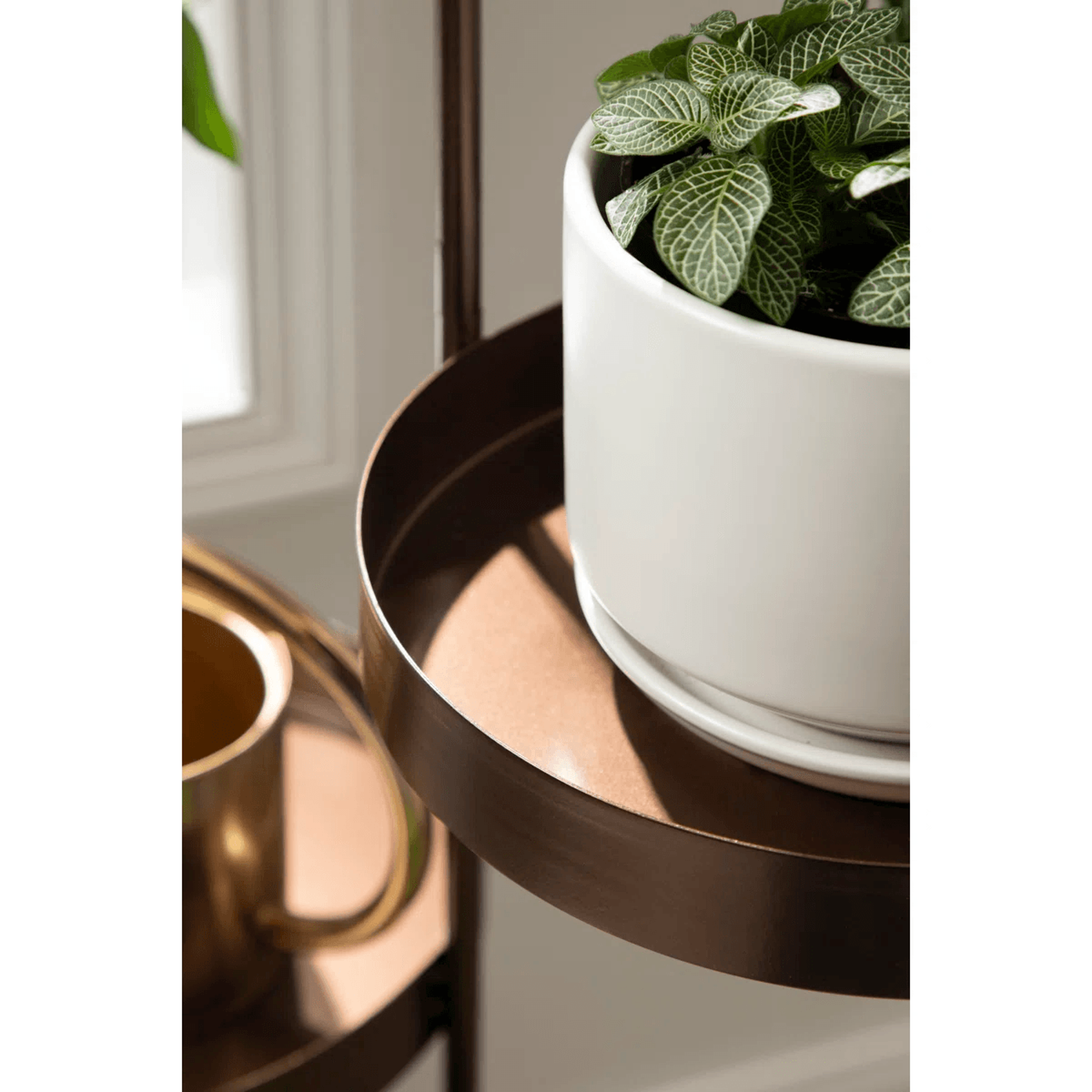 4 Tier Metal Plant Stand With Round Shelves Bronze Indoor And Outdoor Plant Display 4