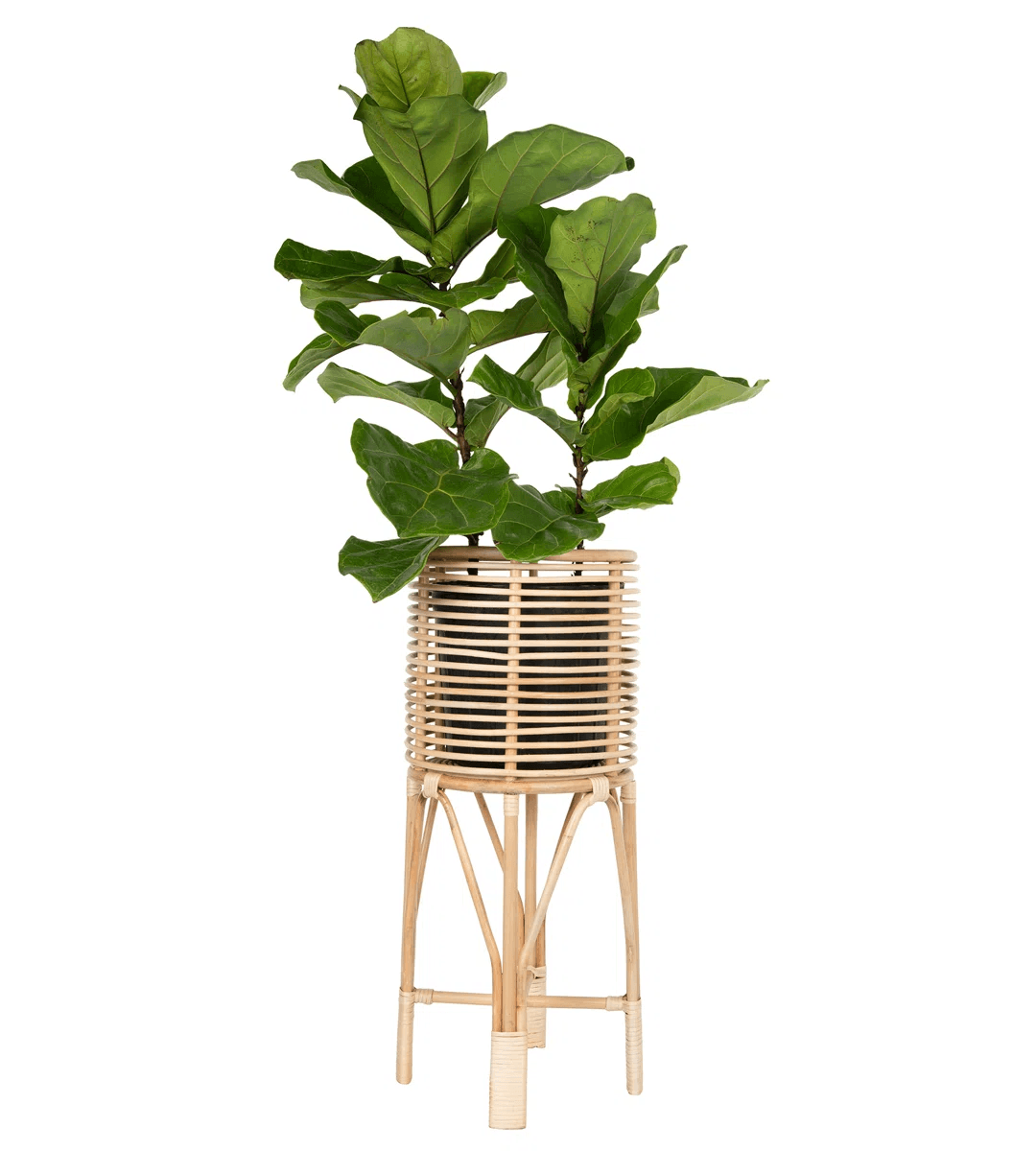 Natural Rattan Indoor Plant Stand 1 Tier Pedestal With Wicker Design 3