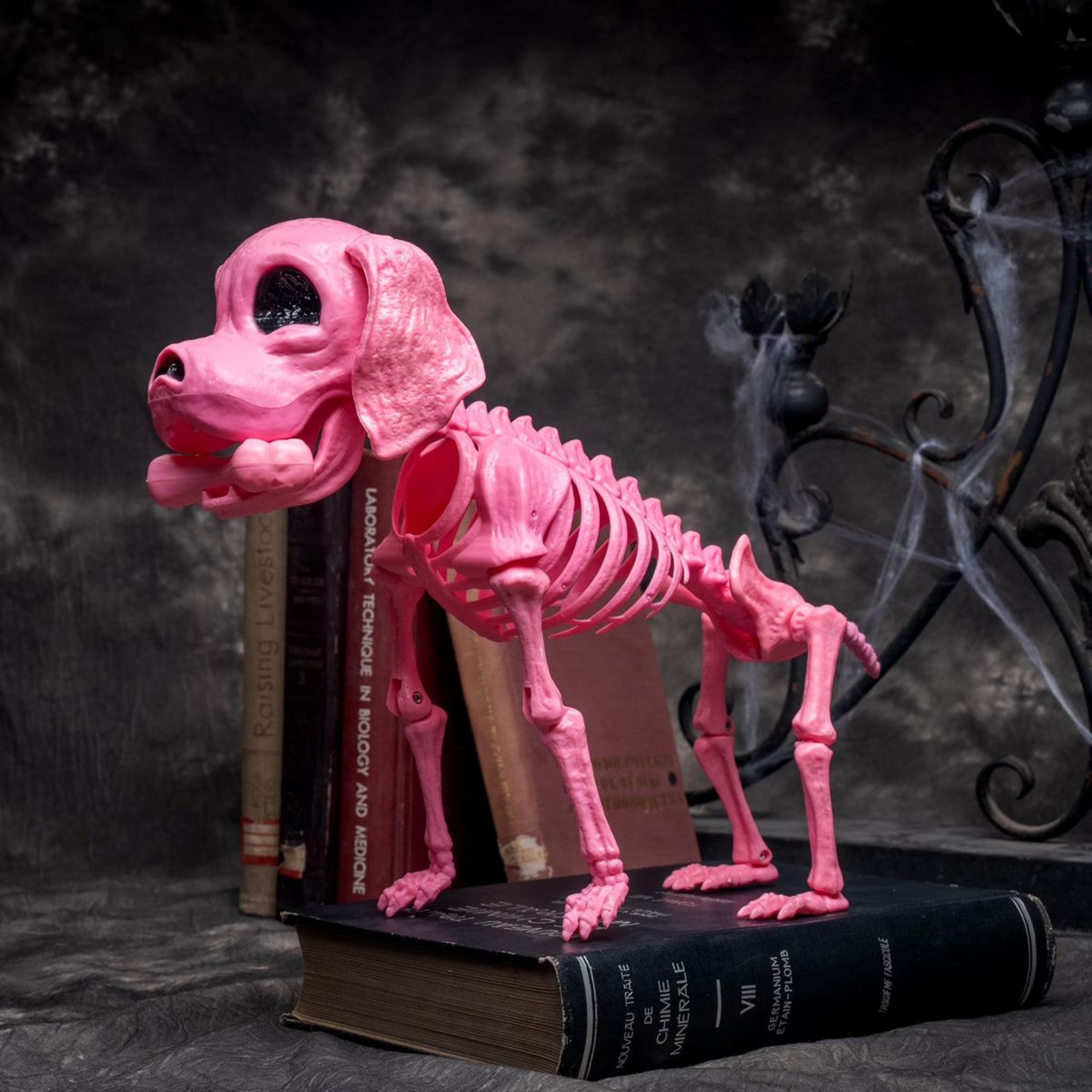 Posable Pink Dog Skeleton Halloween Decoration For Indoor And Outdoor Displays 2