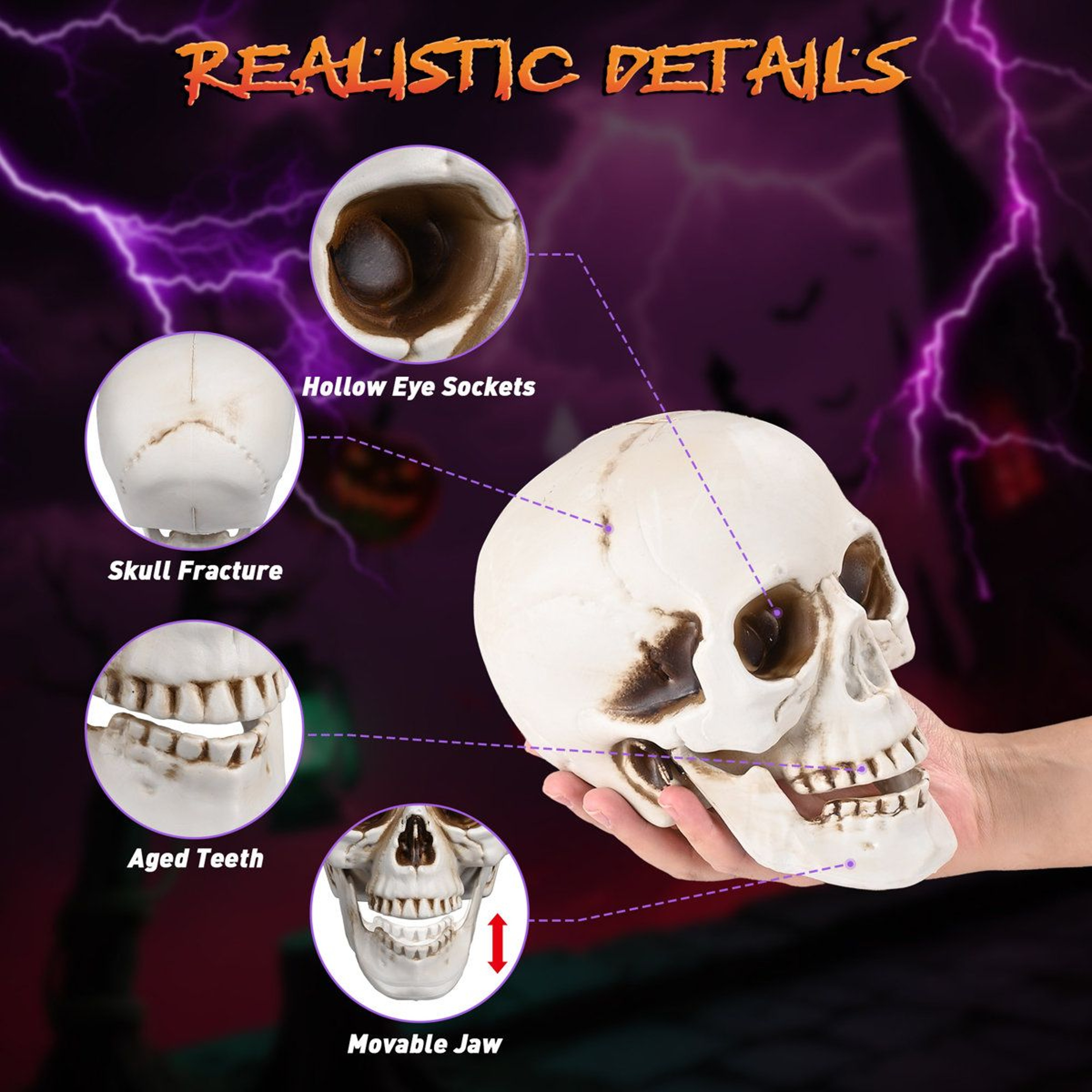 4 Piece Realistic Halloween Skull Decorations With Movable Jaws 4
