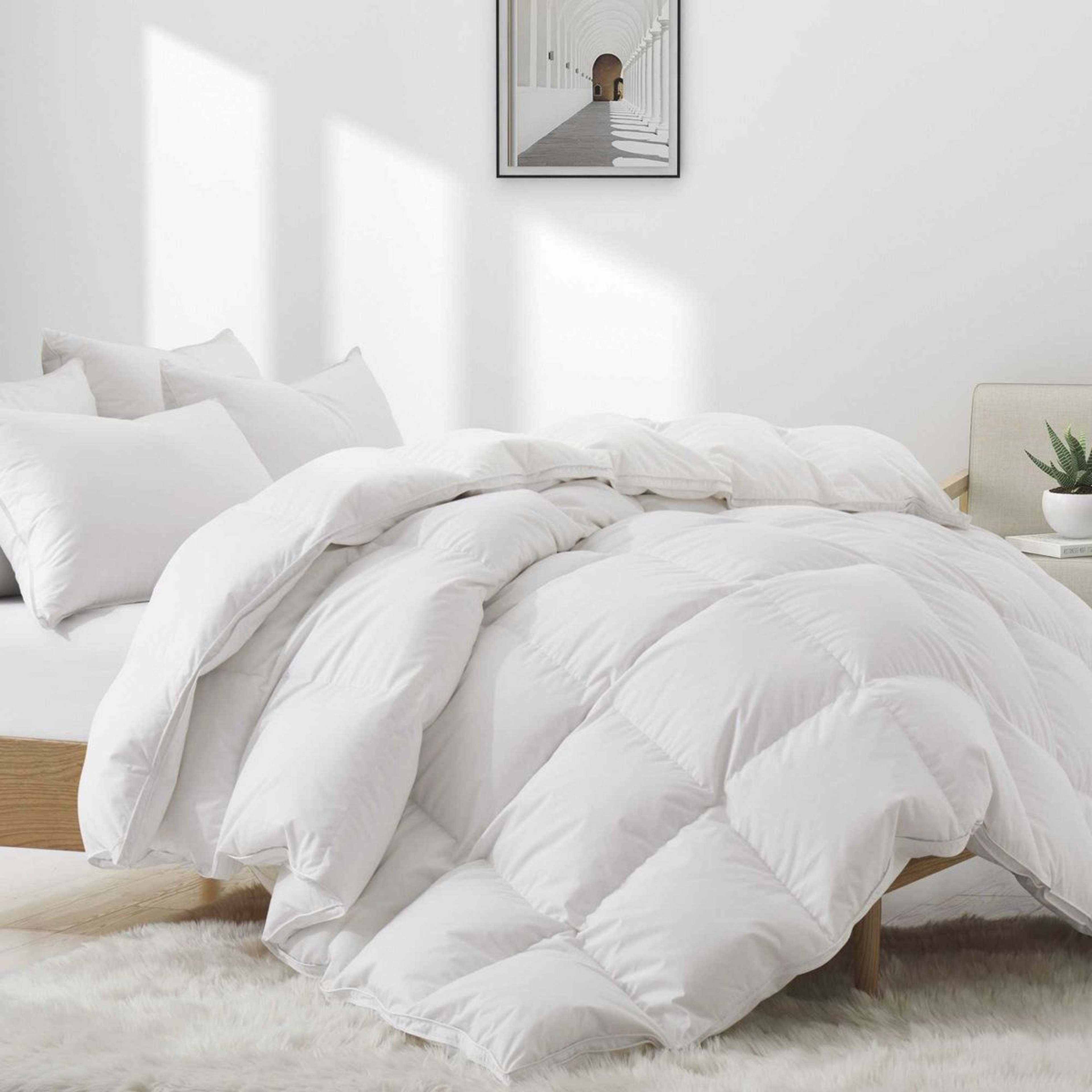 King Size Goose Down Comforter 800 Fill Power Winter Weight Cotton Cover 0