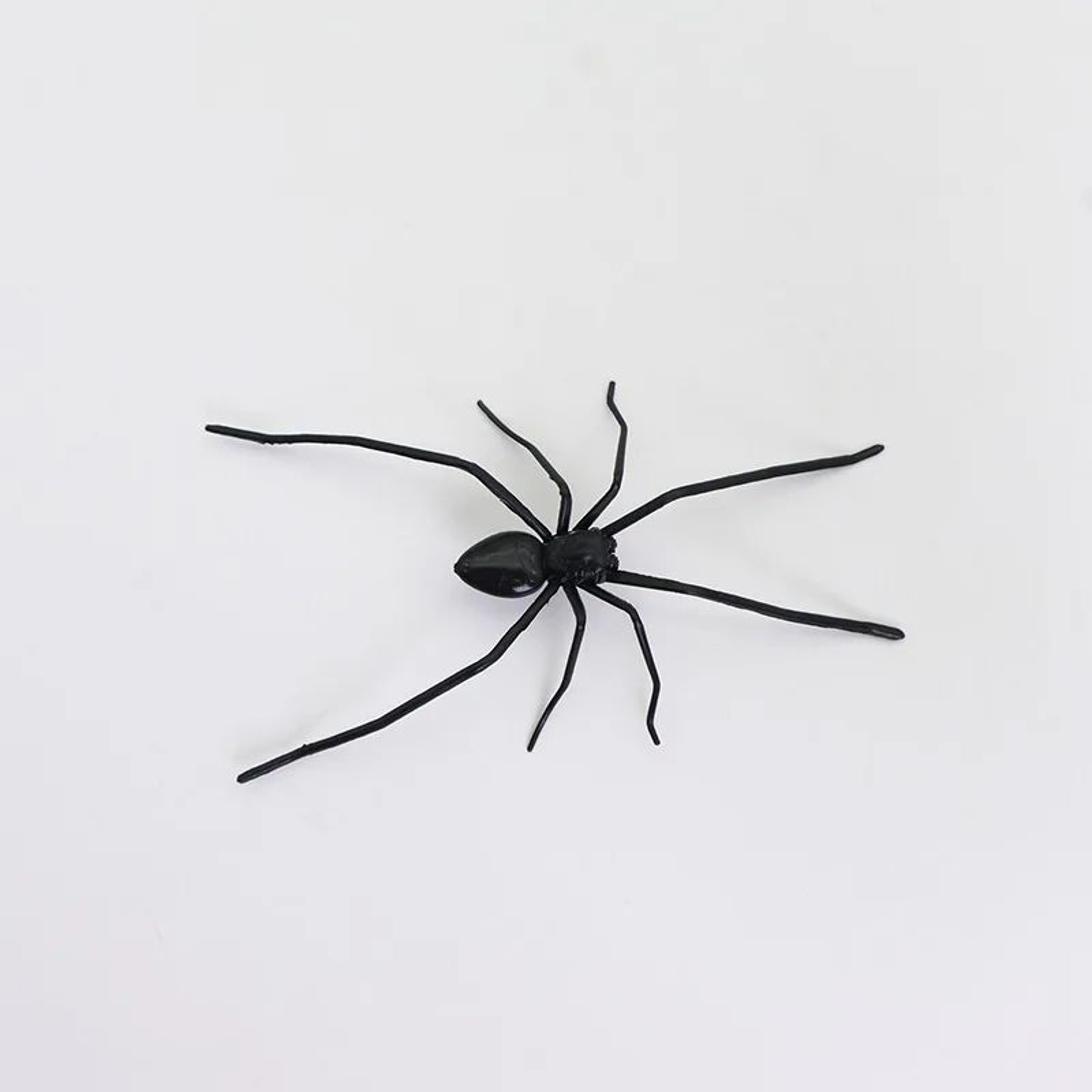 Realistic Spider Fridge Magnets  Fun Novelty Magnetic Home  Garage Decor 6
