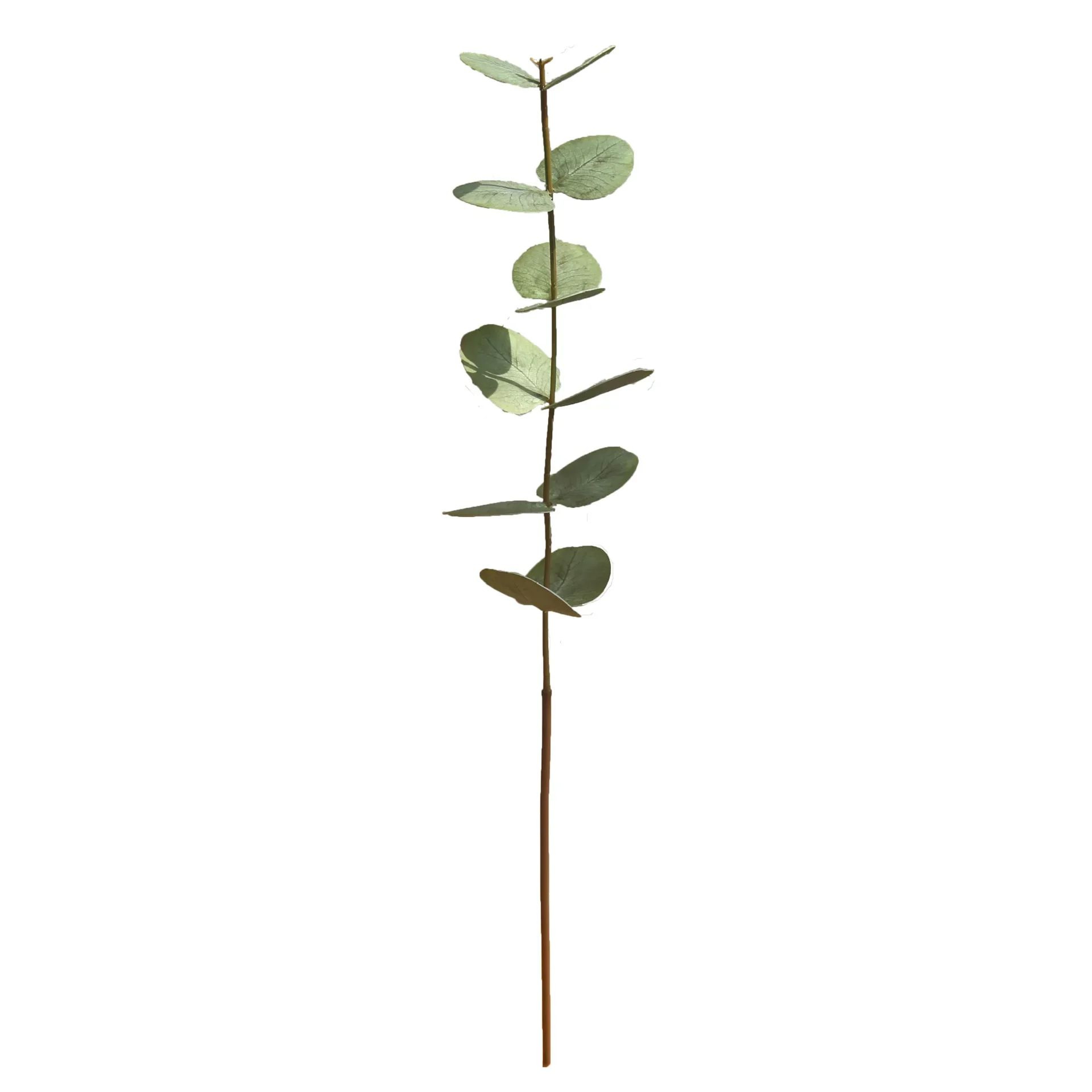 10pcs Real Touch Eucalyptus Leaves  Artificial Greenery Stems For Wedding Bouquet  Home Decor 3