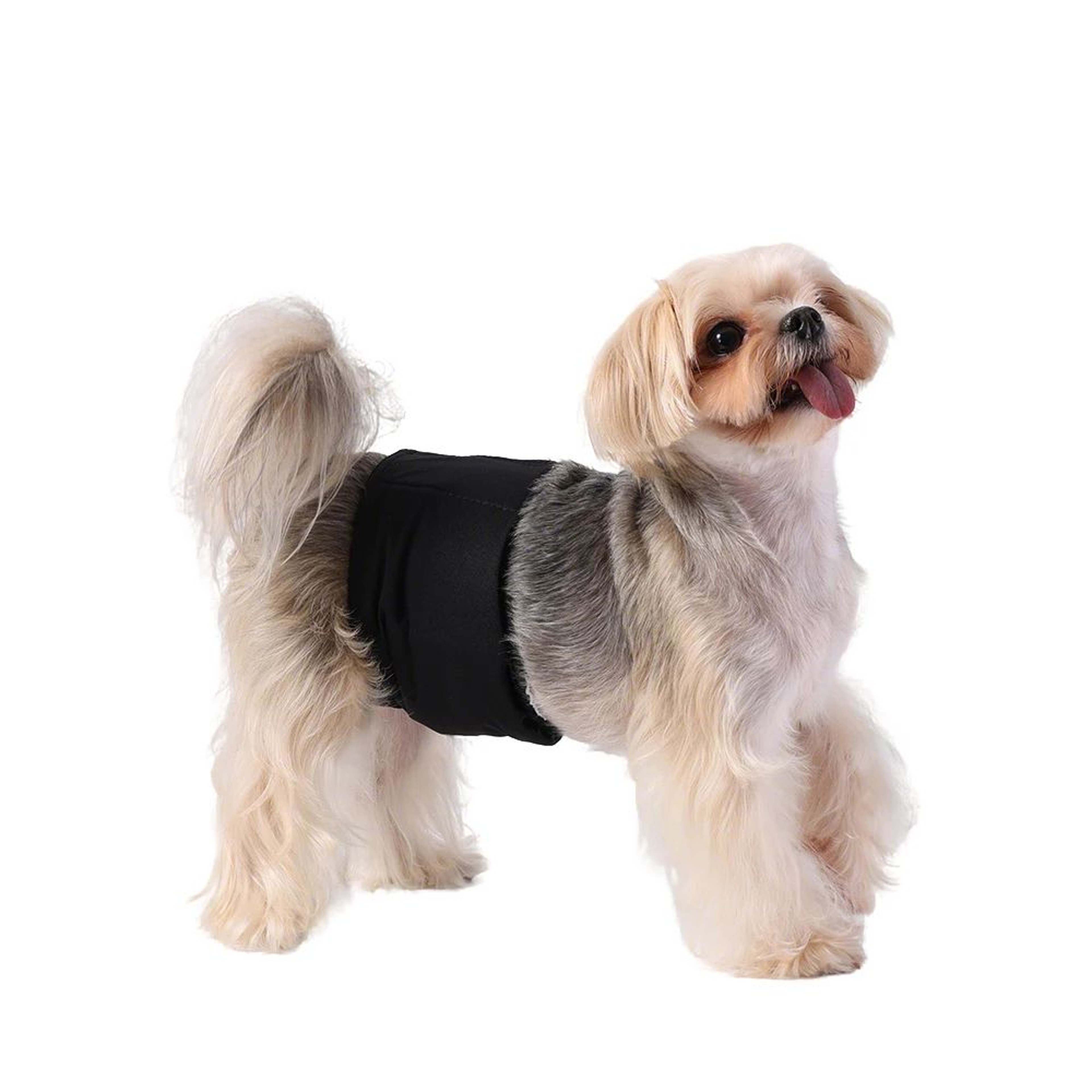 3pcs Reusable Male Dog Belly Bands  Washable Breathable Dog Diapers For Puppies  Small To Medium Do 4