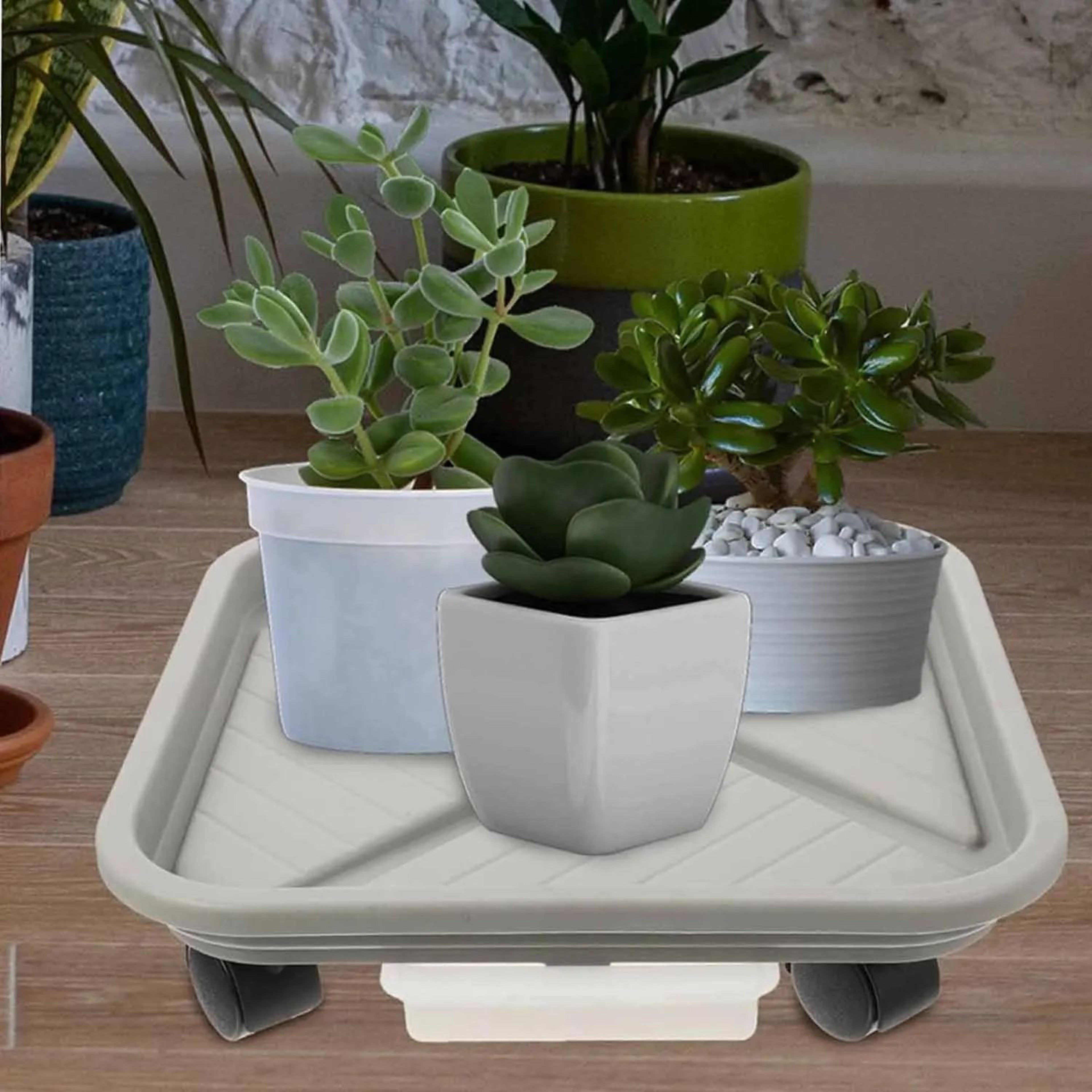 4Wheel Rolling Plant Caddy  Square Plastic Flower Pot Mover With Drainage Tray For Indoor  Outdoor  1