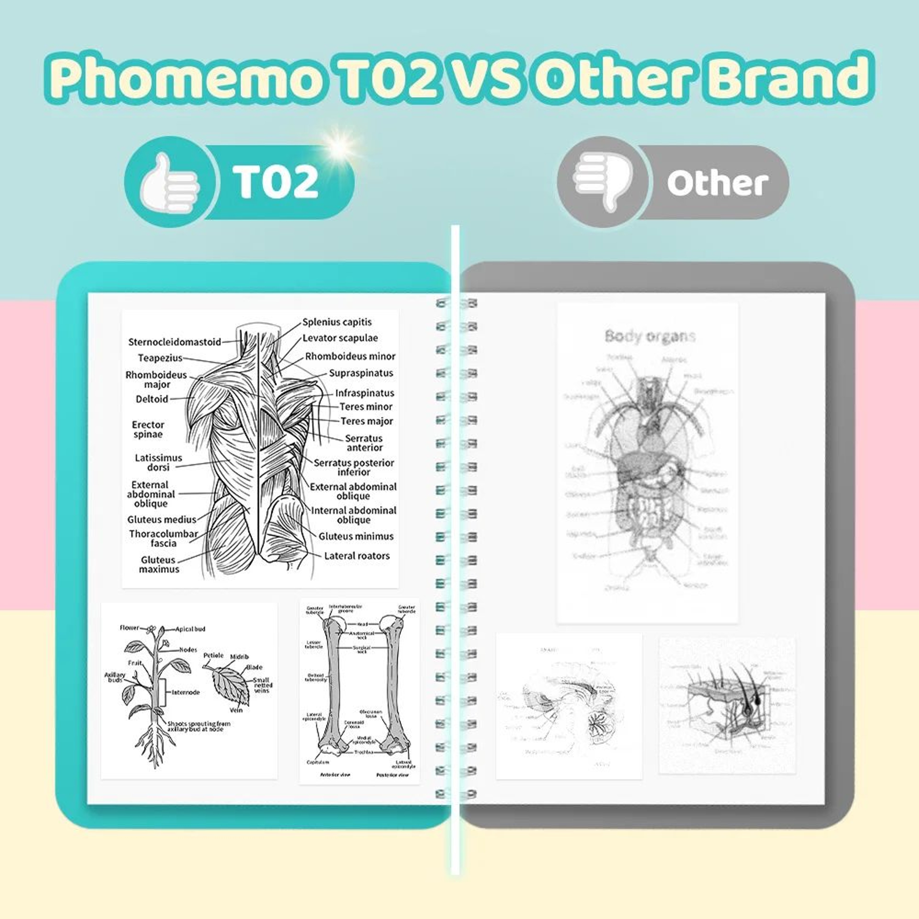 Mini Sticker Printer  T02 Bluetooth Inkless Photo  Note Printing For IOS Android DIY Journals And S