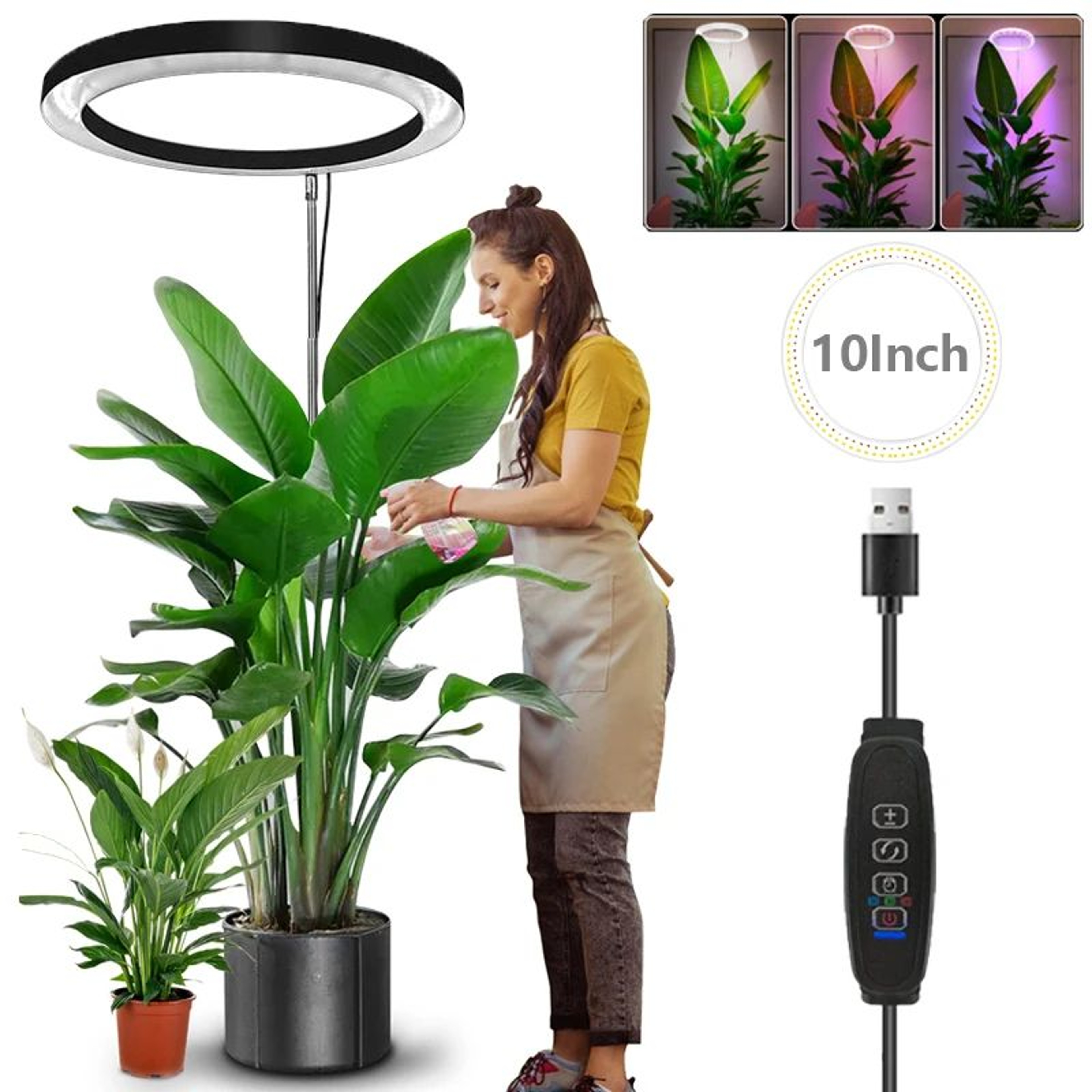 10in LED Ring Grow Light  Full Spectrum Height Adjustable Plant Lamp With Daily Timer  9 Dimming Le 0