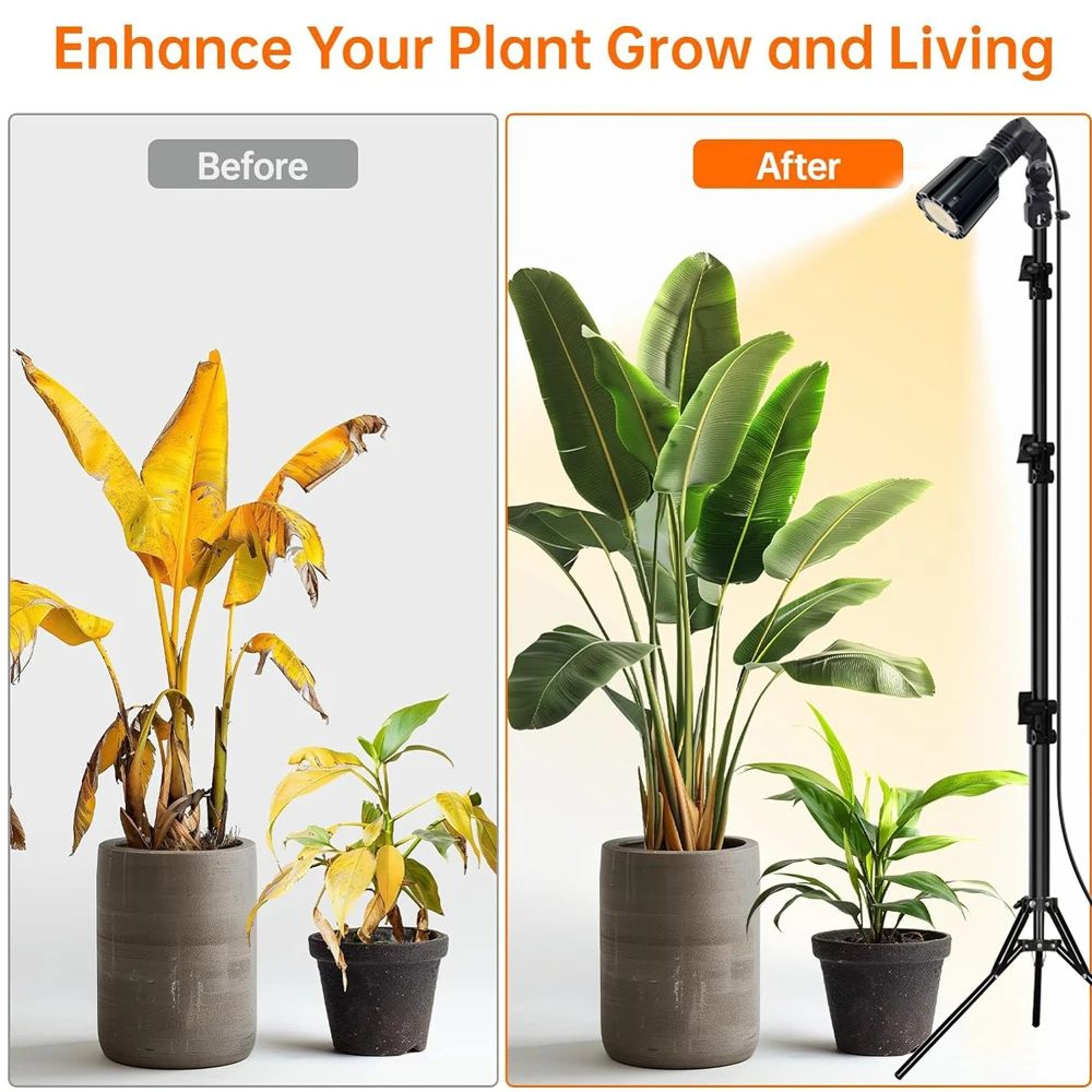 Full Spectrum LED Grow Light  Dimmable Indoor Plant Light With Adjustable Tripod Stand Remote Contr 5