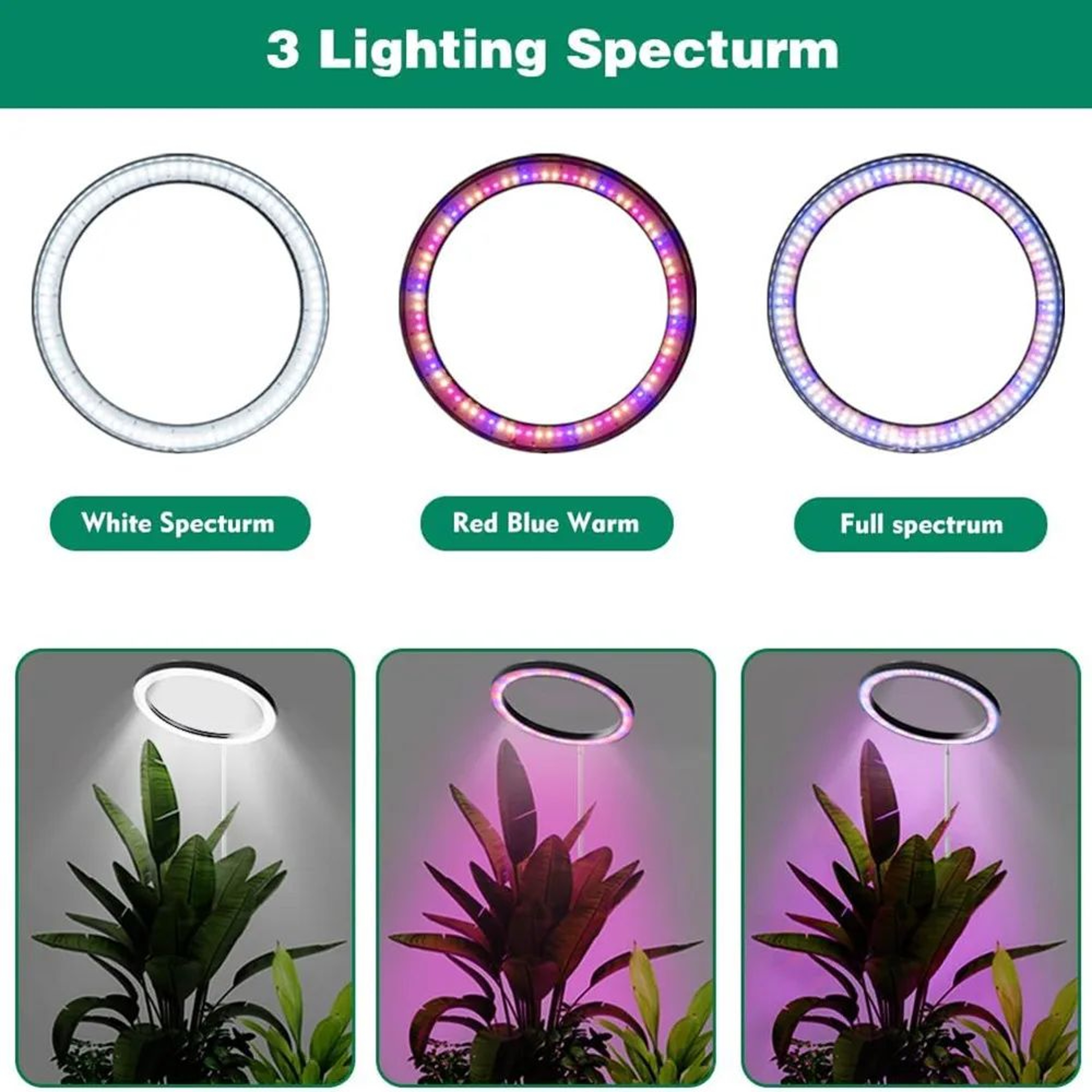 10 In LED Ring Grow Light  Full Spectrum Height Adjustable Plant Lamp With Daily Timer  9 Dimming L 2