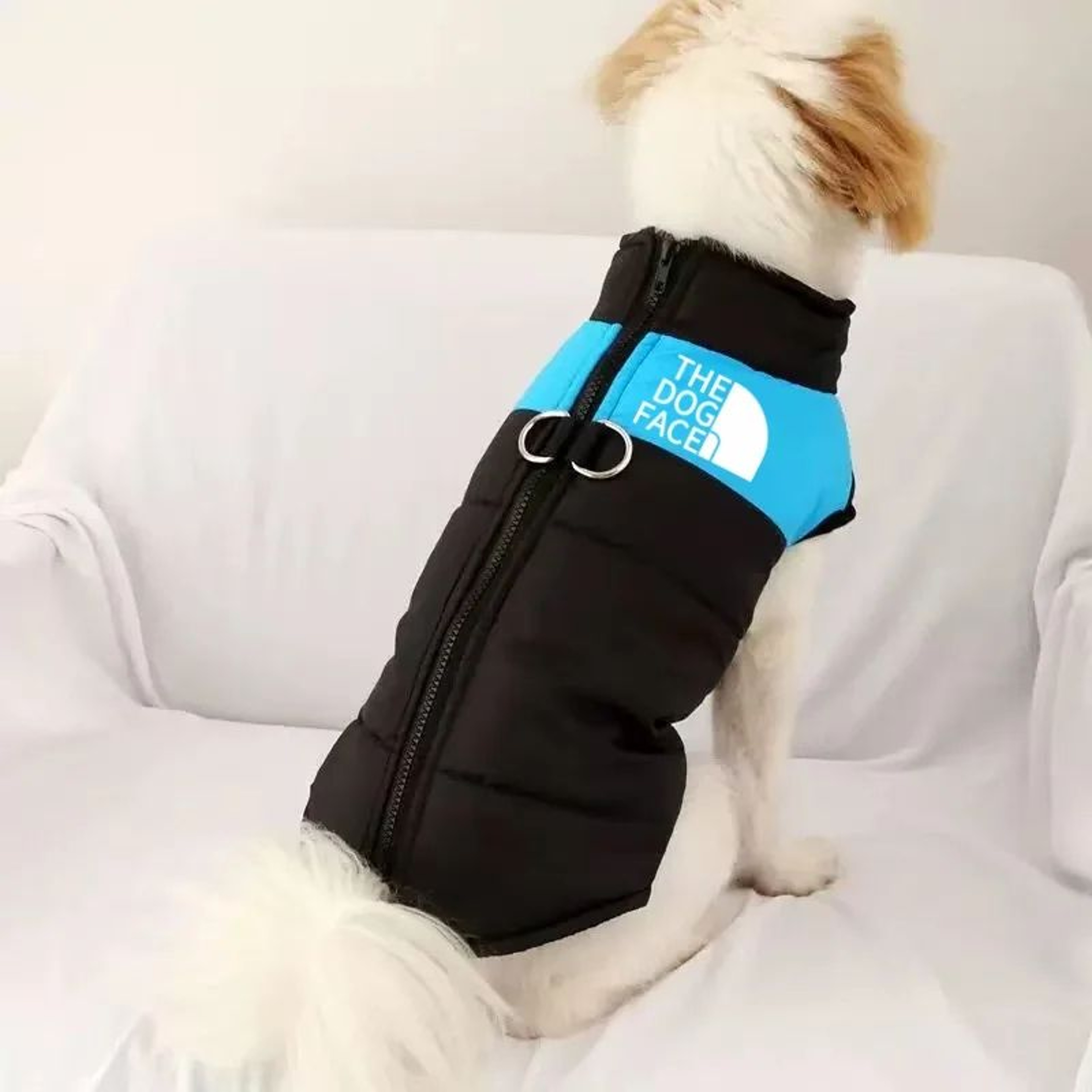 Winter Sports Hoodie Dog Jacket 2