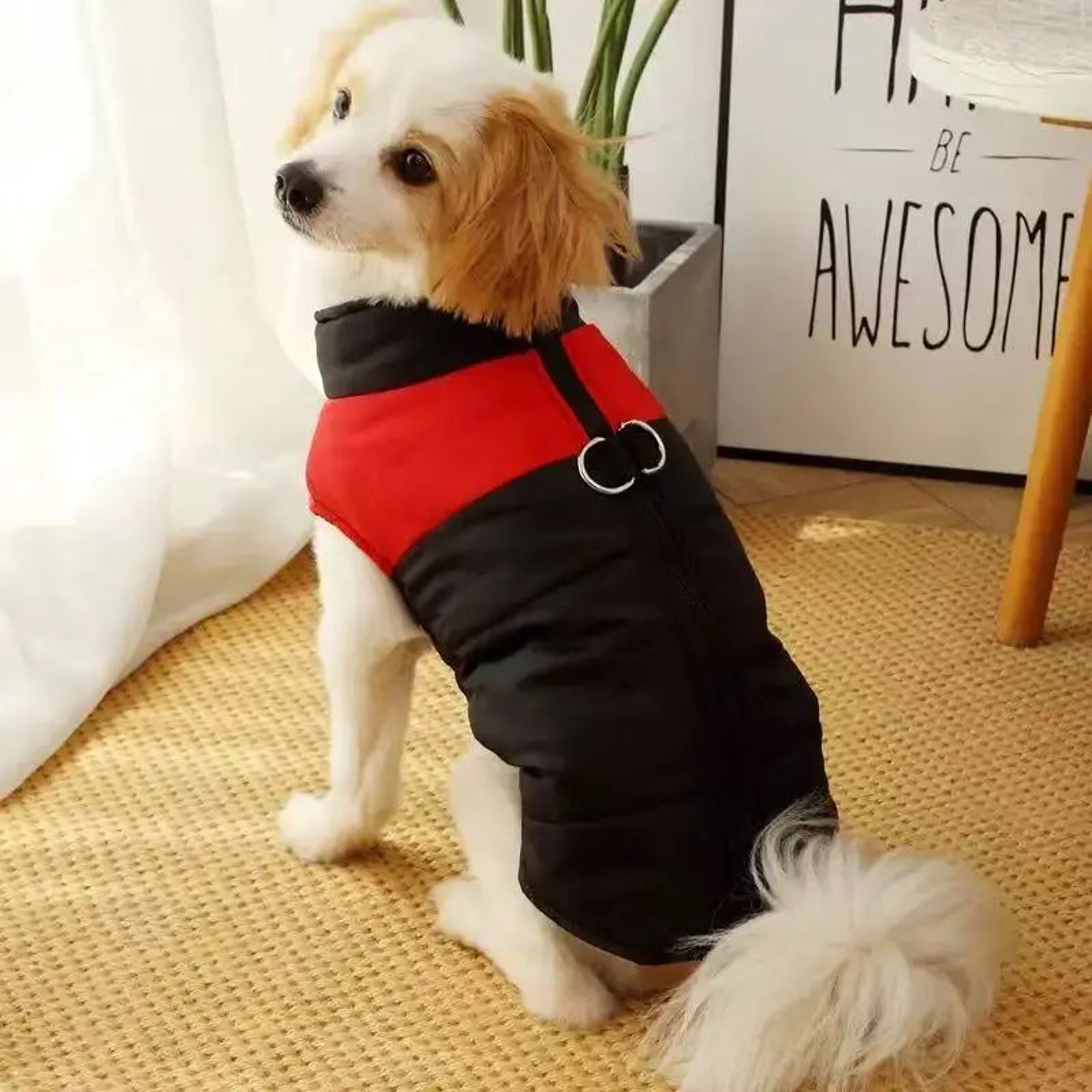 Winter Sports Hoodie Dog Jacket 4