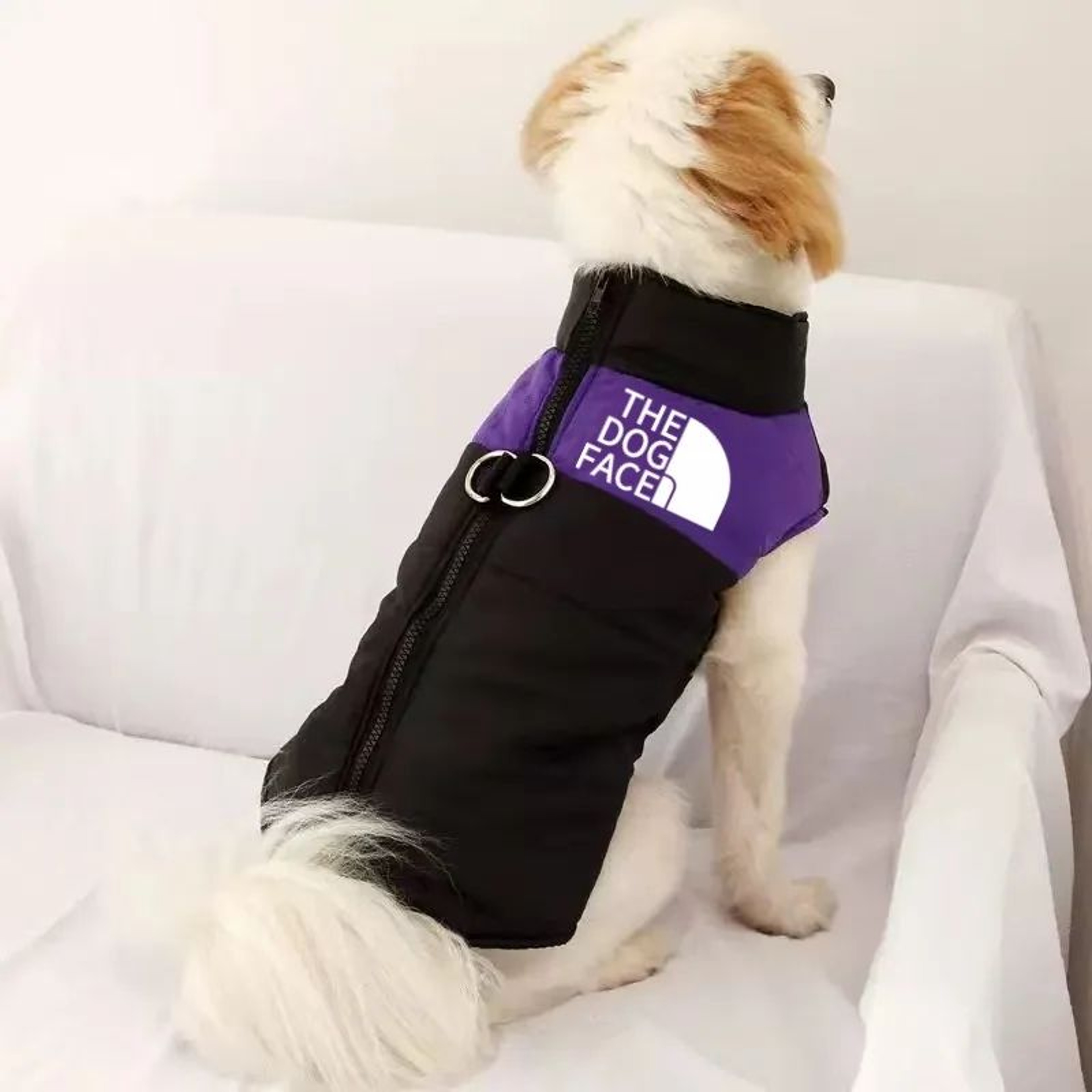 Winter Sports Hoodie Dog Jacket 11